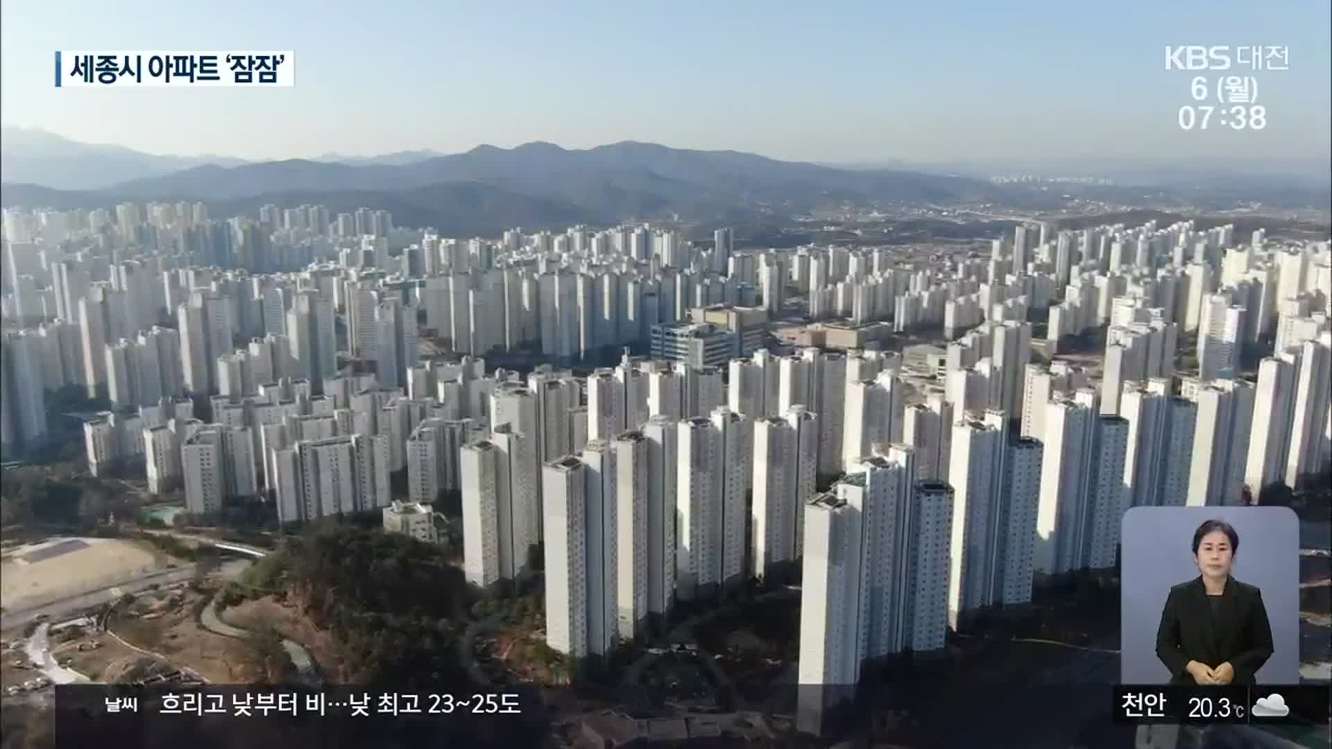 국회법 운영위 통과에도 세종 부동산 약보합세 지속