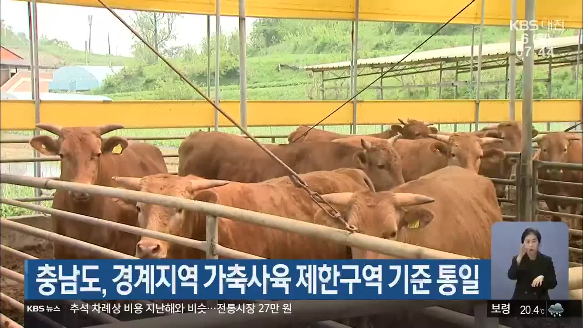 충남도, 경계지역 가축사육 제한구역 기준 통일