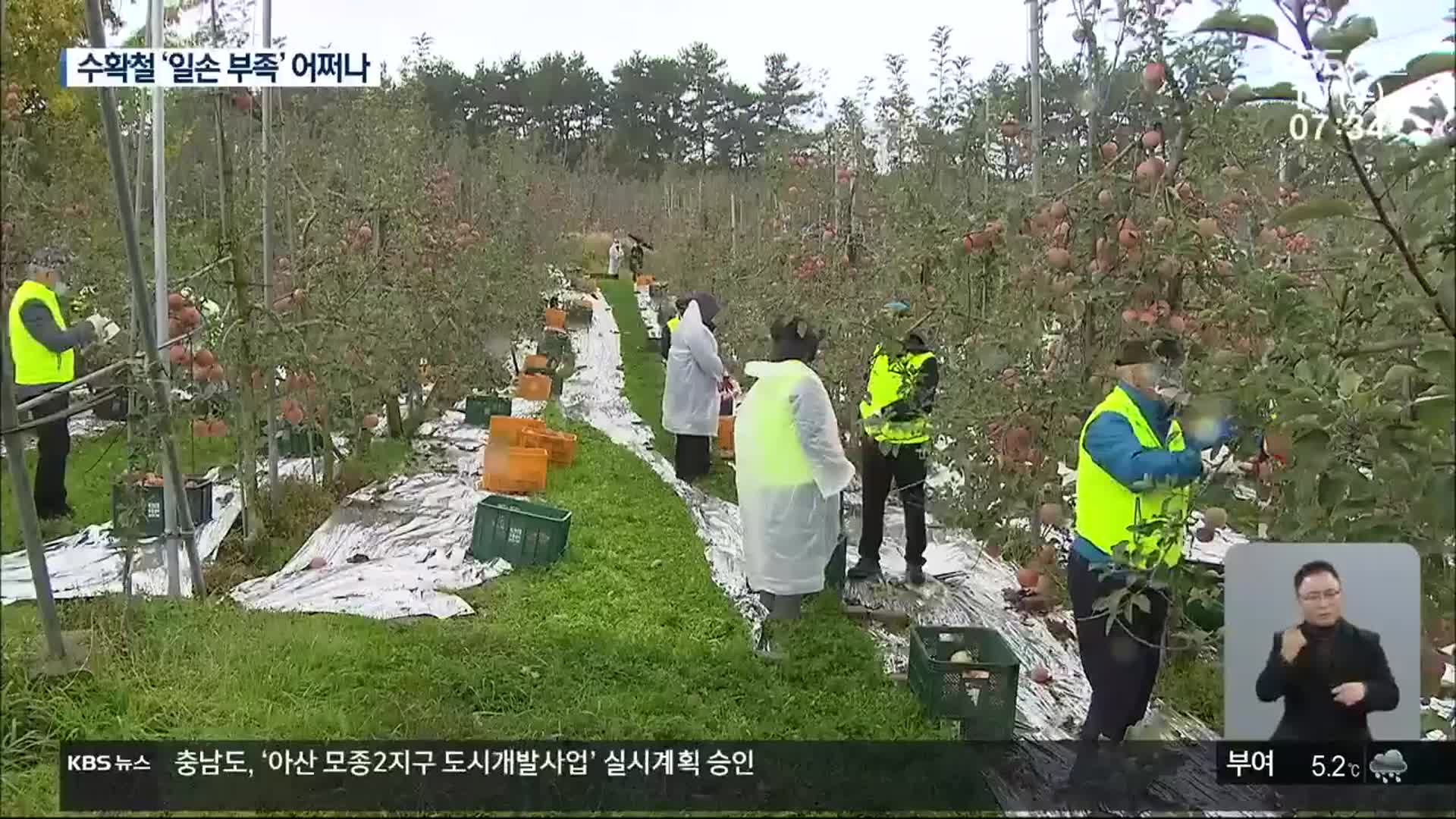 추운 겨울 코앞인데…농촌에선 일손 부족 어쩌나