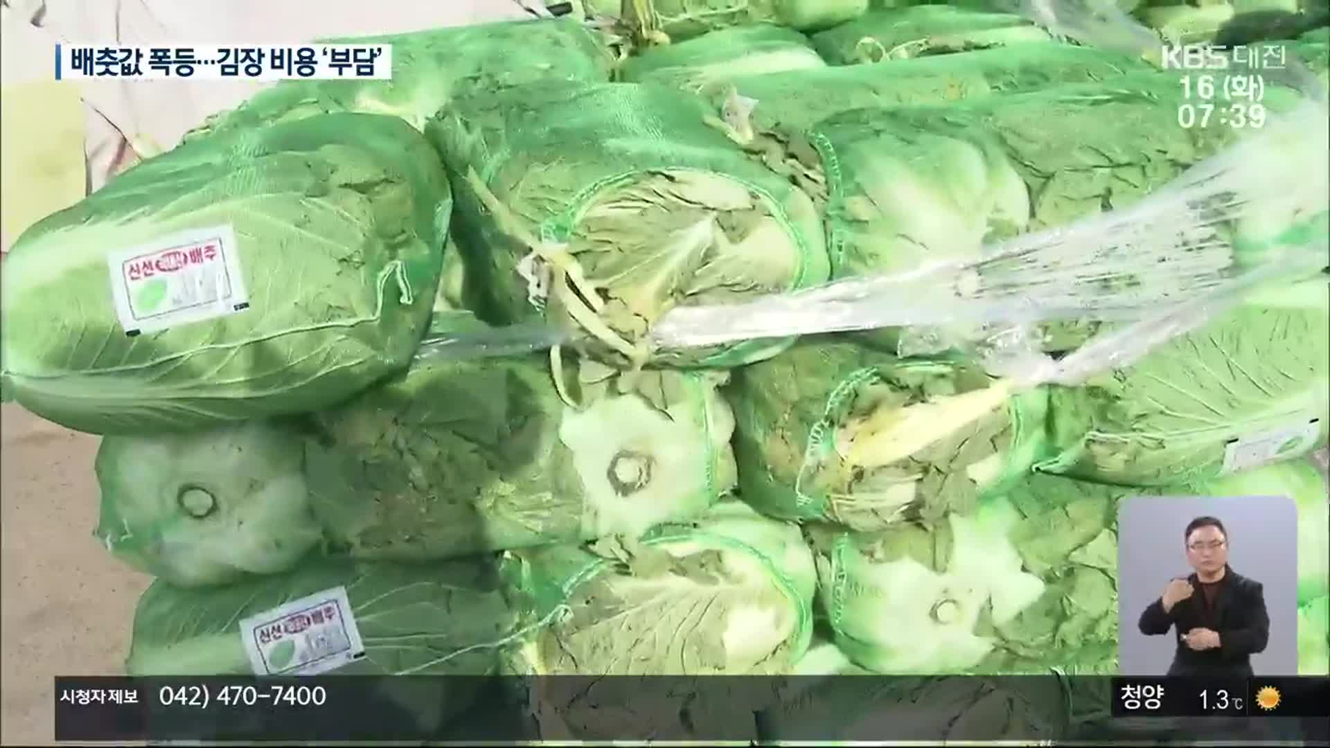 올해 김장 비용 상승…배추값 지난해보다 55.1% 올라