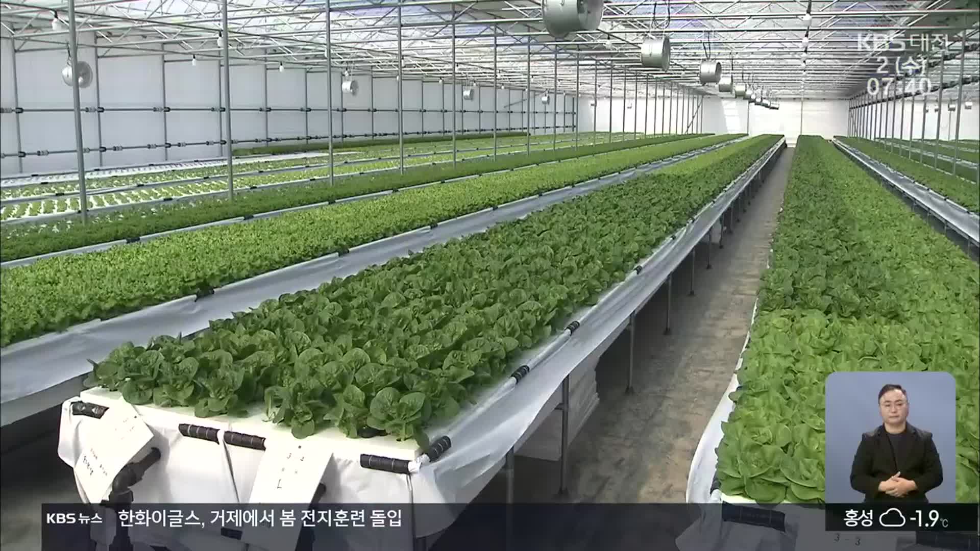 “쌈채소로 3~4억 수입”…스마트팜으로 부농꿈 결실