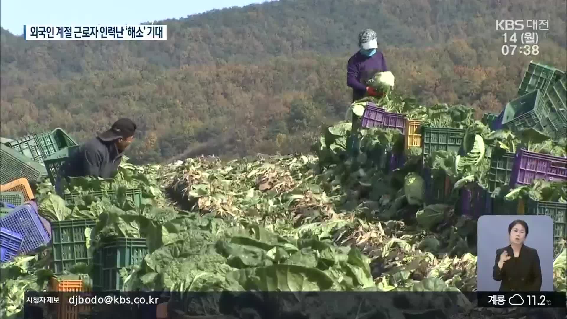 외국인 계절근로자 재개…농촌 인력난 ‘해소’ 기대