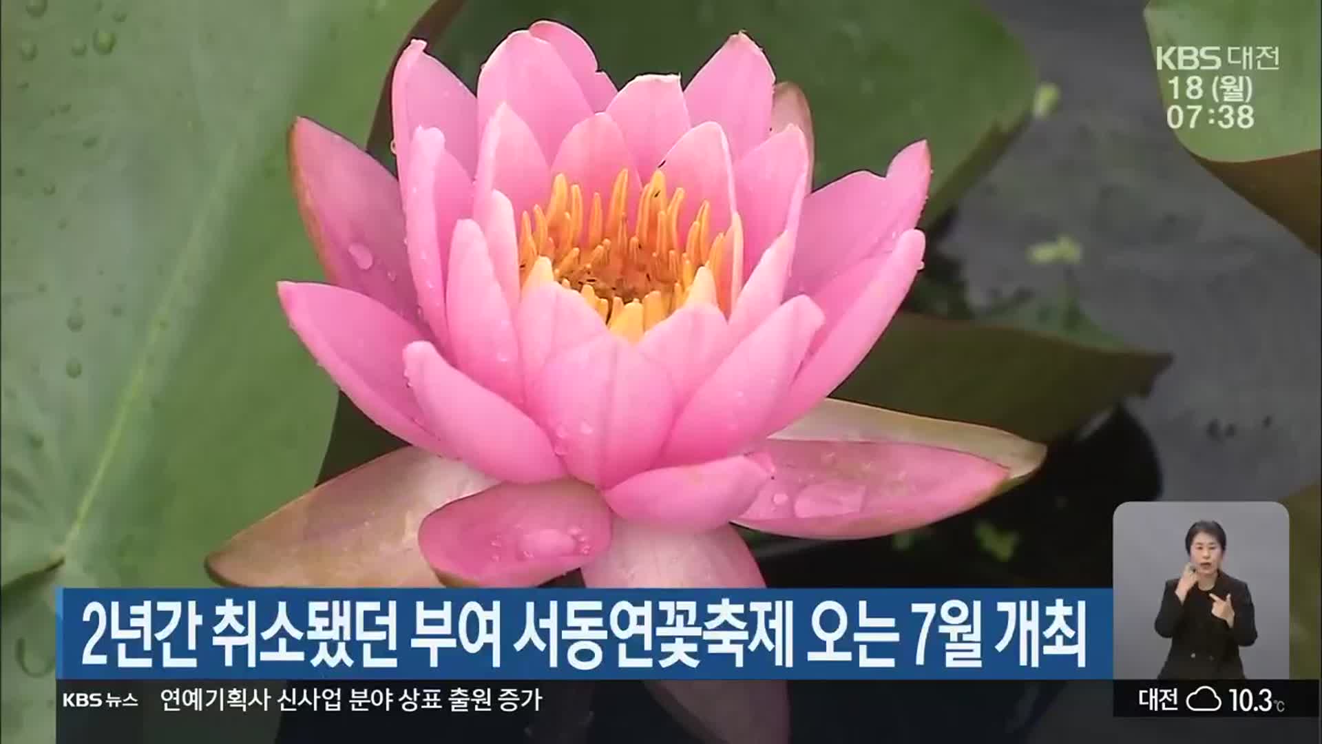 2년간 취소됐던 부여 서동연꽃축제 오는 7월 개최