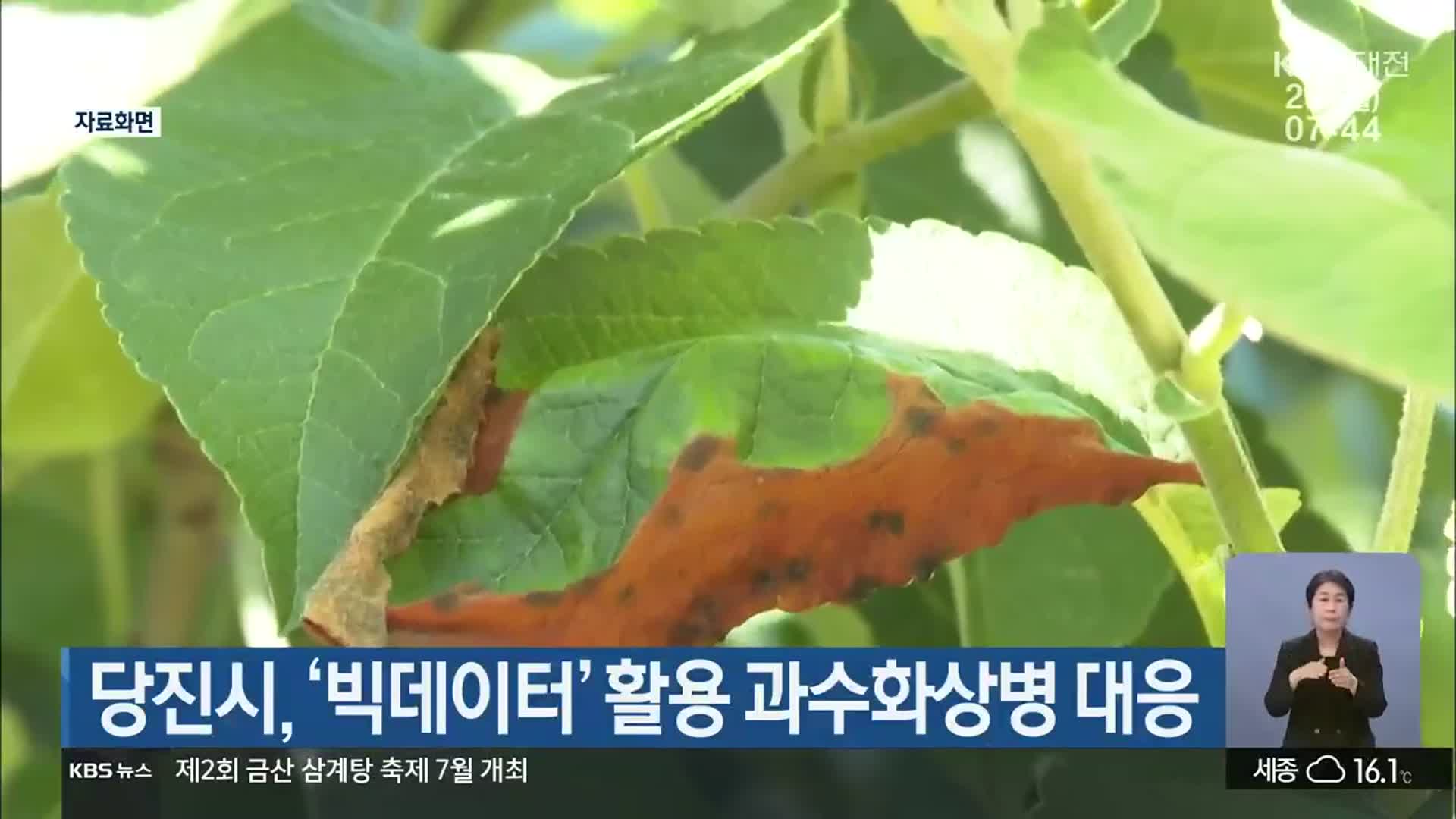 당진시, ‘빅데이터’ 활용 과수화상병 대응