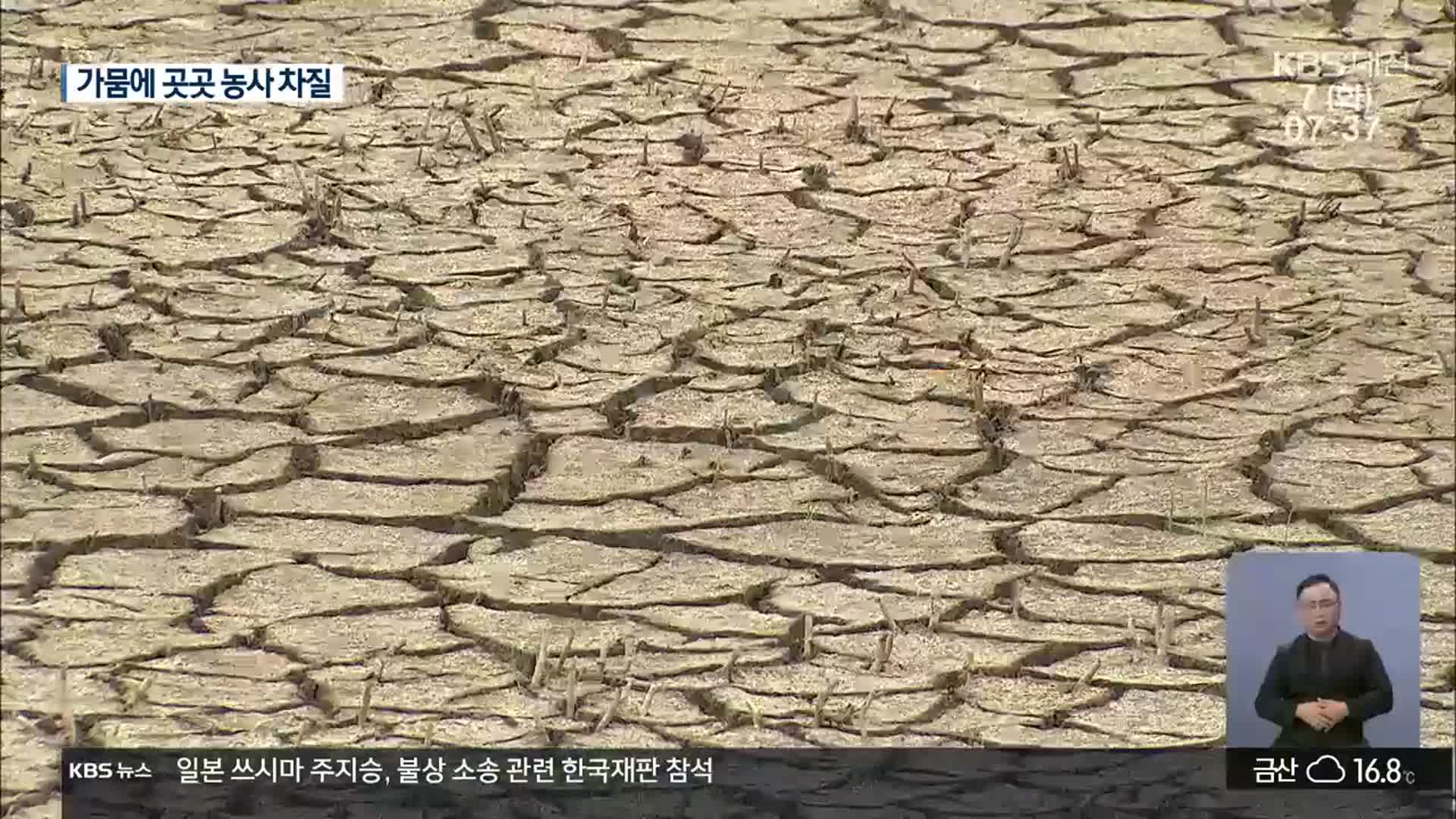 충남 5월 강수량 5.4mm…가뭄에 농사 차질