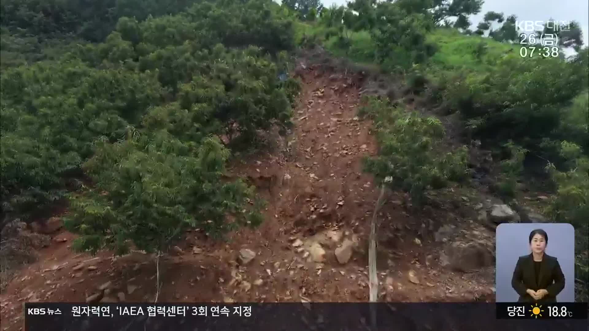밤 재배지도 곳곳 피해…수확철 속타는 농심