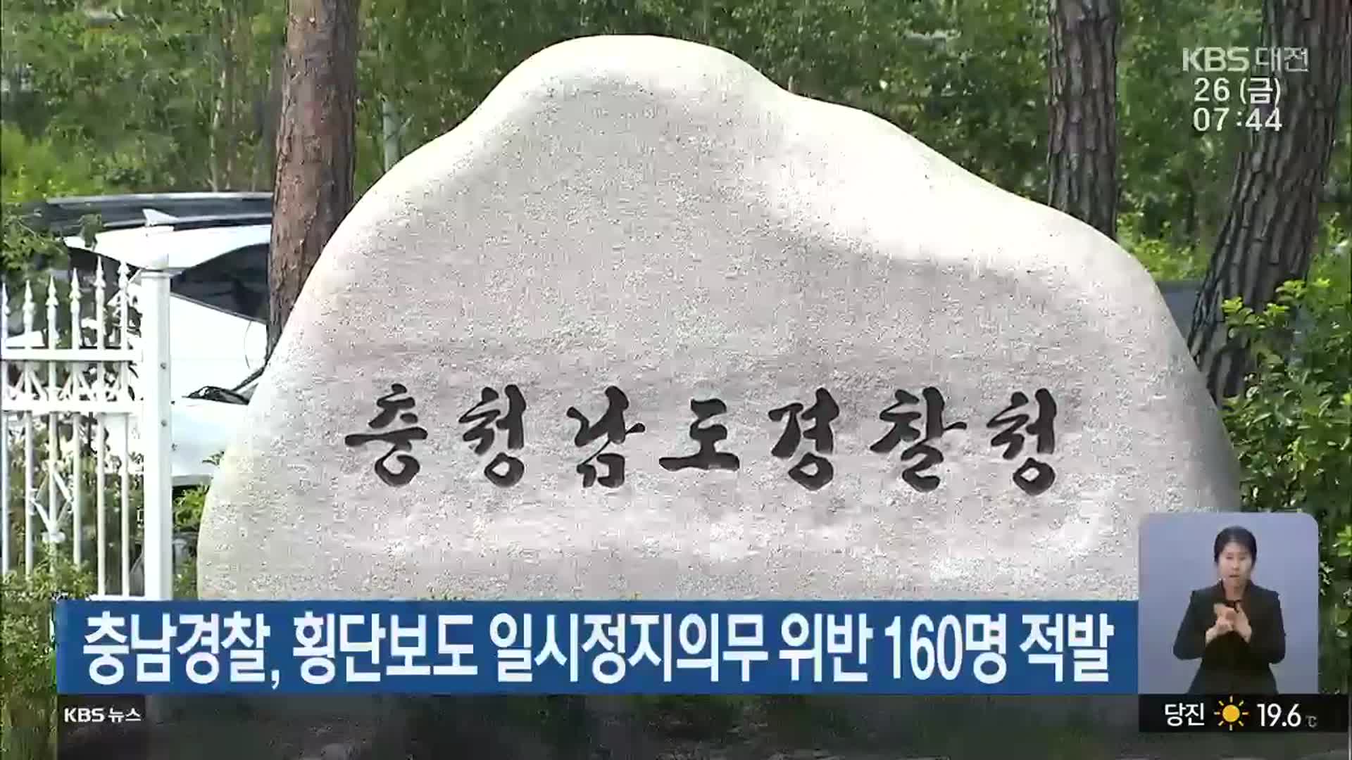 충남경찰, 횡단보도 일시정지의무 위반 160명 적발