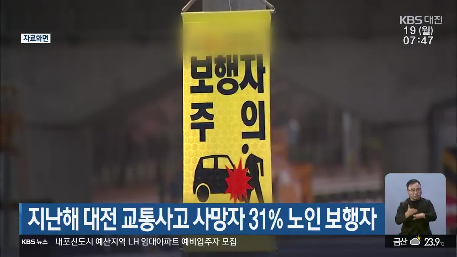 지난해 대전 교통사고 사망자 31% 노인 보행자