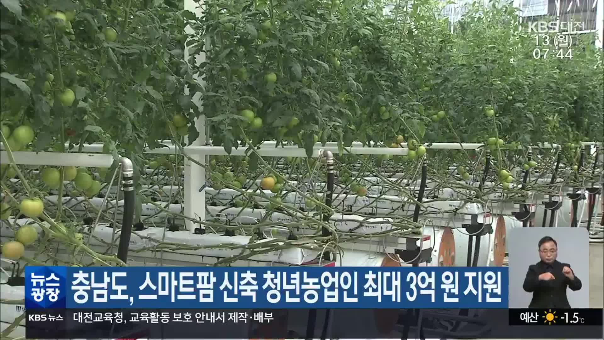 충남도, 스마트팜 신축 청년농업인 최대 3억 원 지원