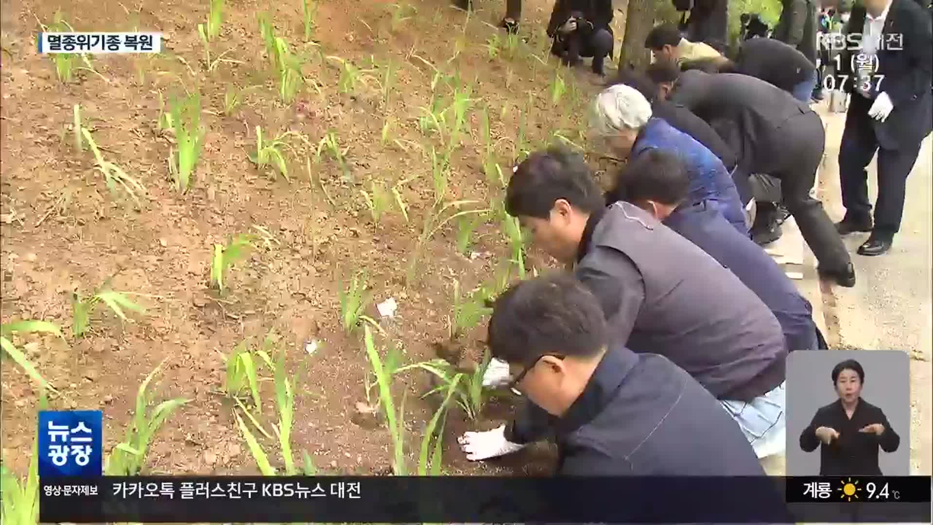 청양에 싹 틔운 멸종위기 식물들…개체 보존 사업 박차