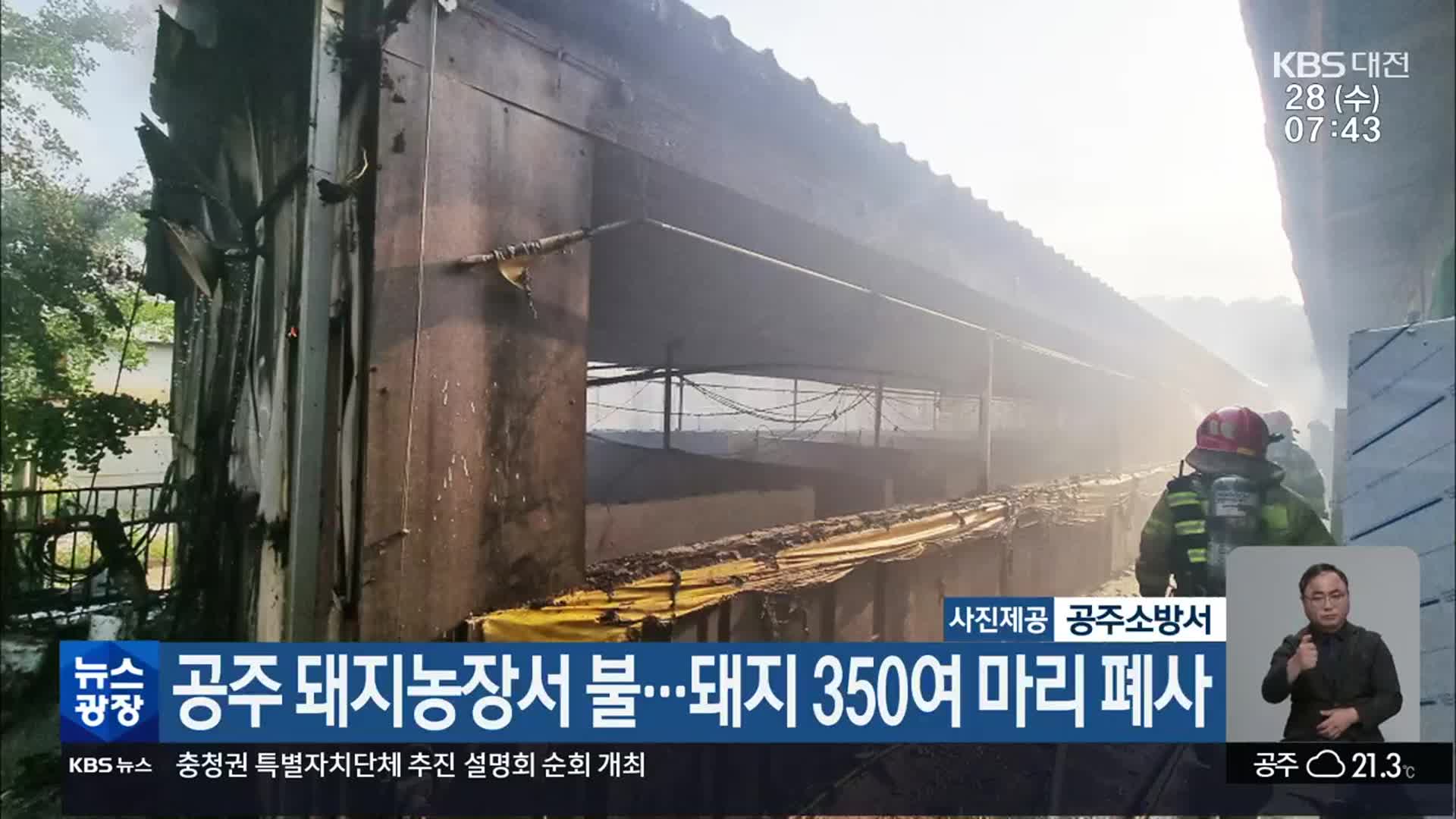 공주 돼지농장서 불…돼지 350여 마리 폐사