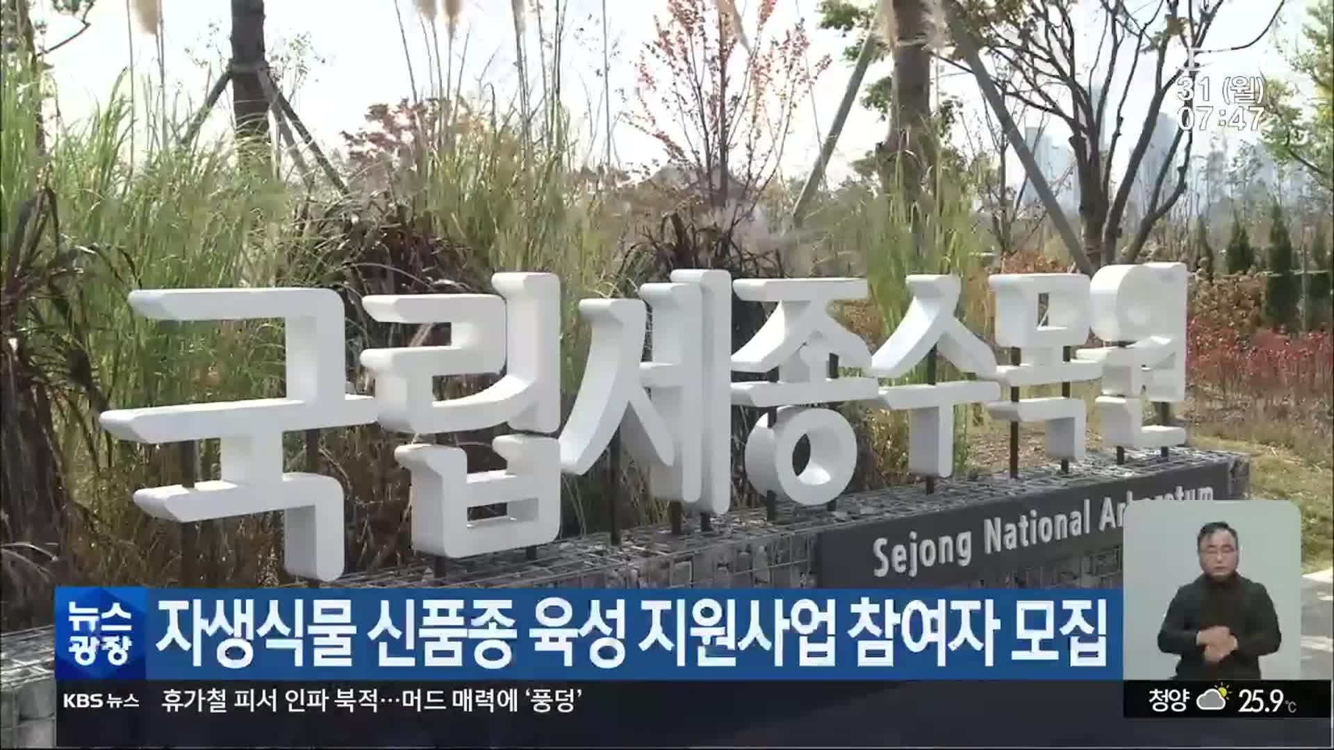 자생식물 신품종 육성 지원사업 참여자 모집