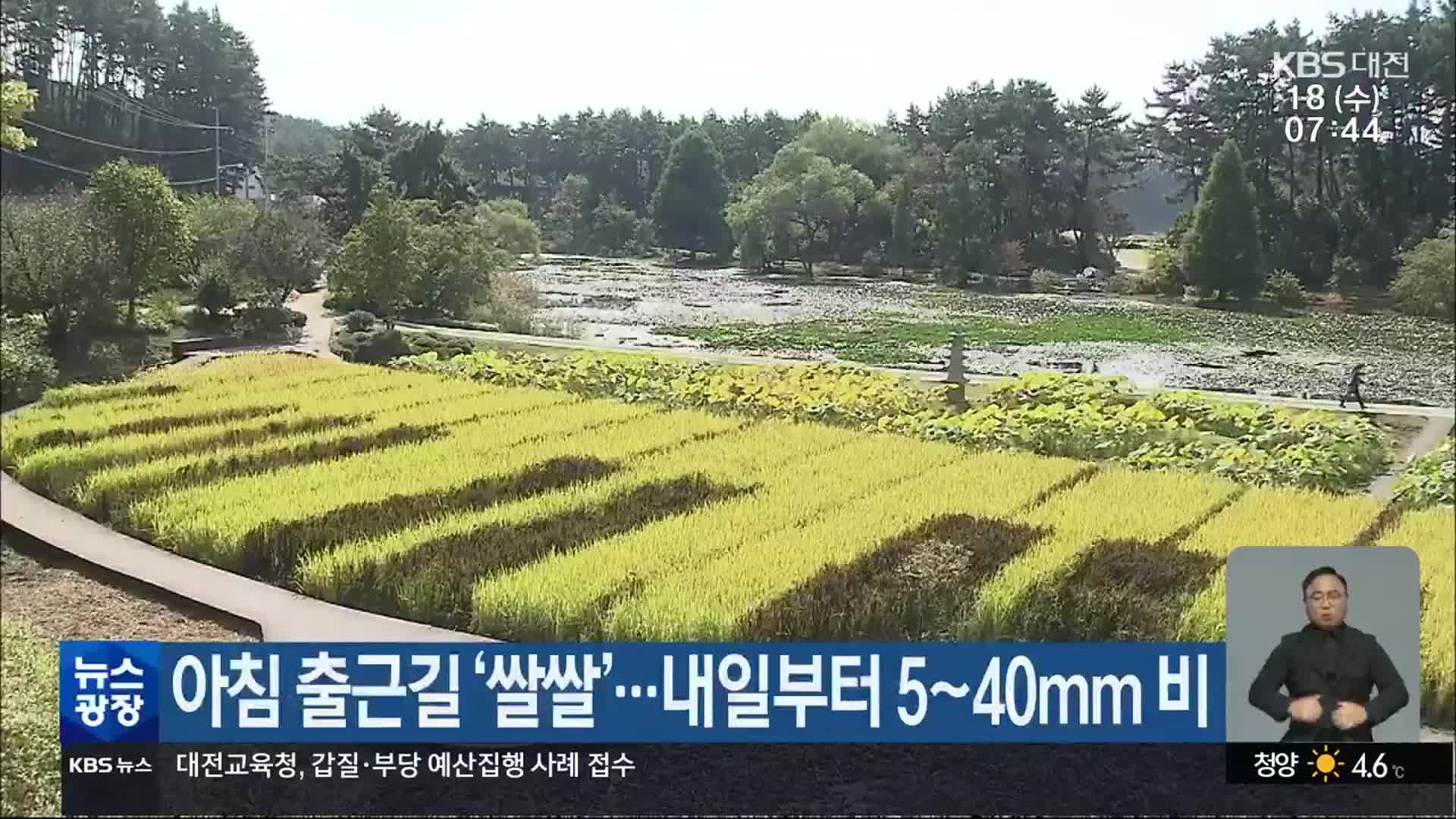 대전·세종·충남 아침 출근길 ‘쌀쌀’…내일부터 5~40mm 비