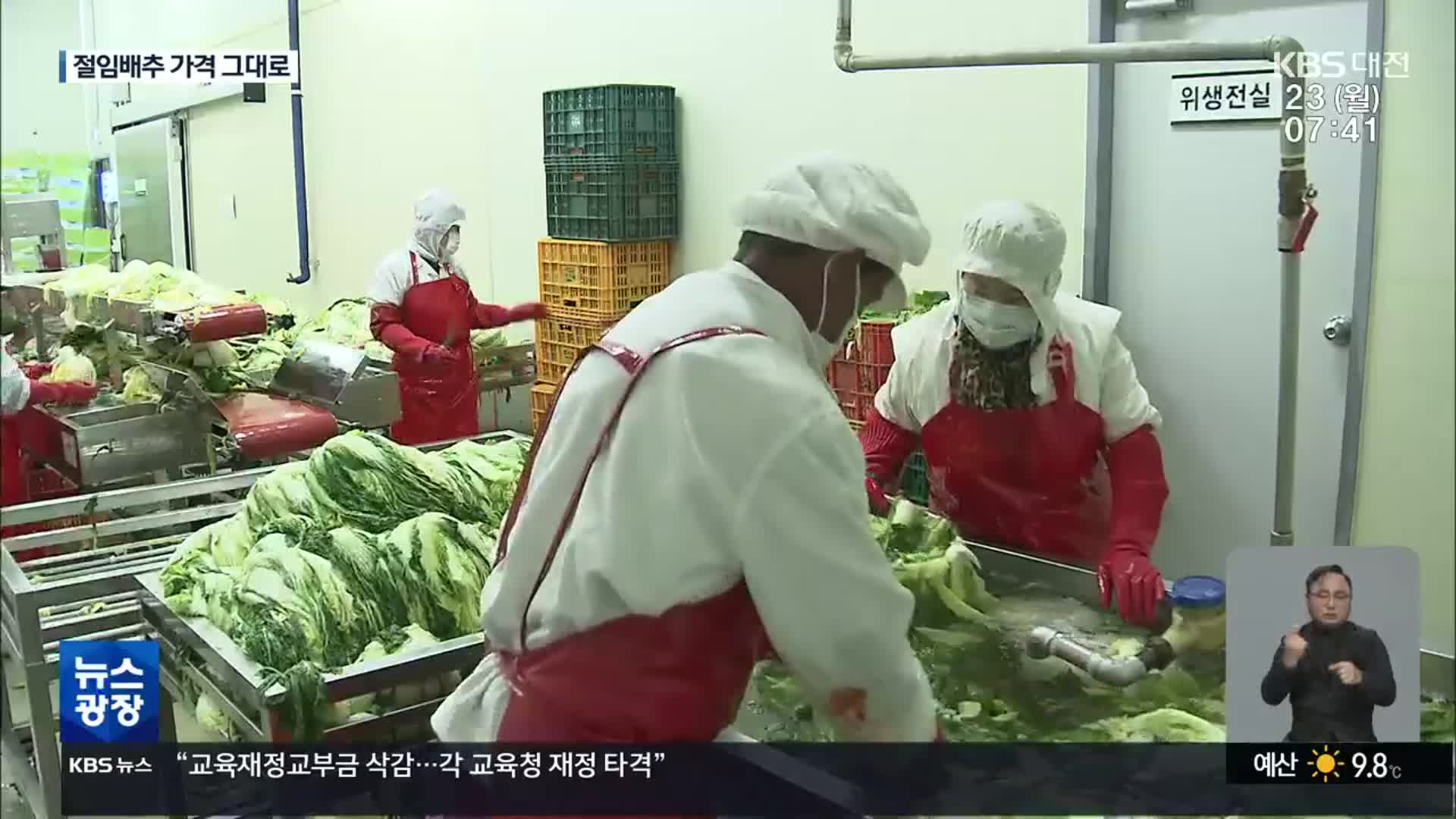 “소금·배추값 상승세에도”…괴산 절임배추 가격 ‘동결’
