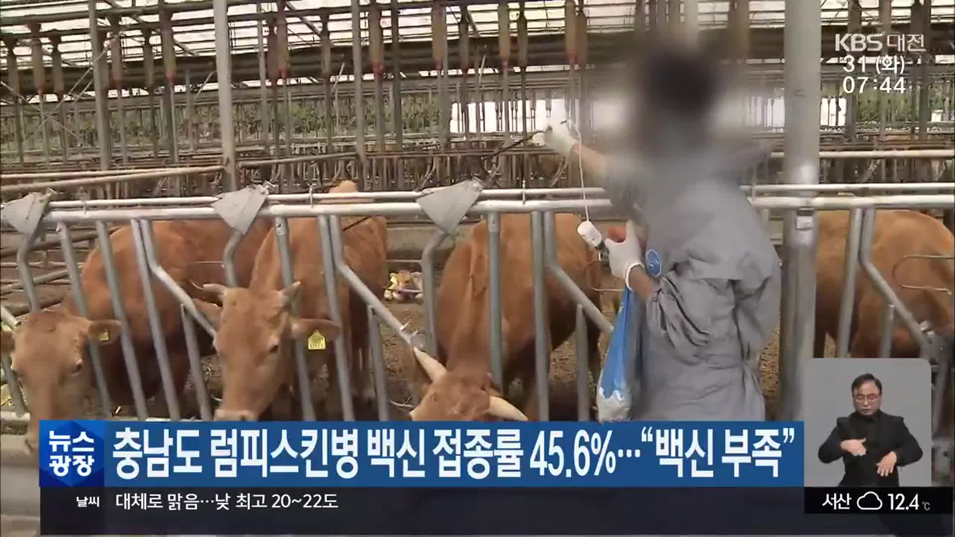 충남도 럼피스킨병 백신 접종률 45.6%…“백신 부족”