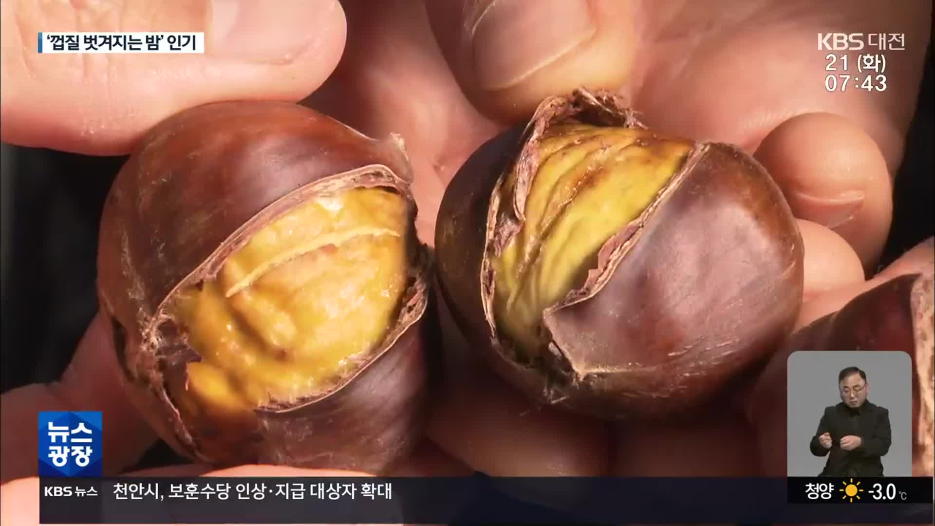 밤 생산 1위 부여 ‘껍질 벗겨지는 밤’으로 승부수