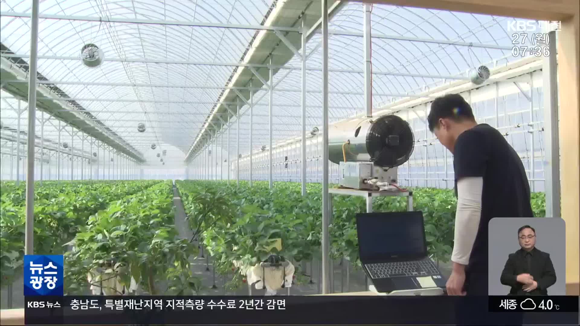 귀농판도 바꾸는 스마트팜…“청년부담 완화책 시급”