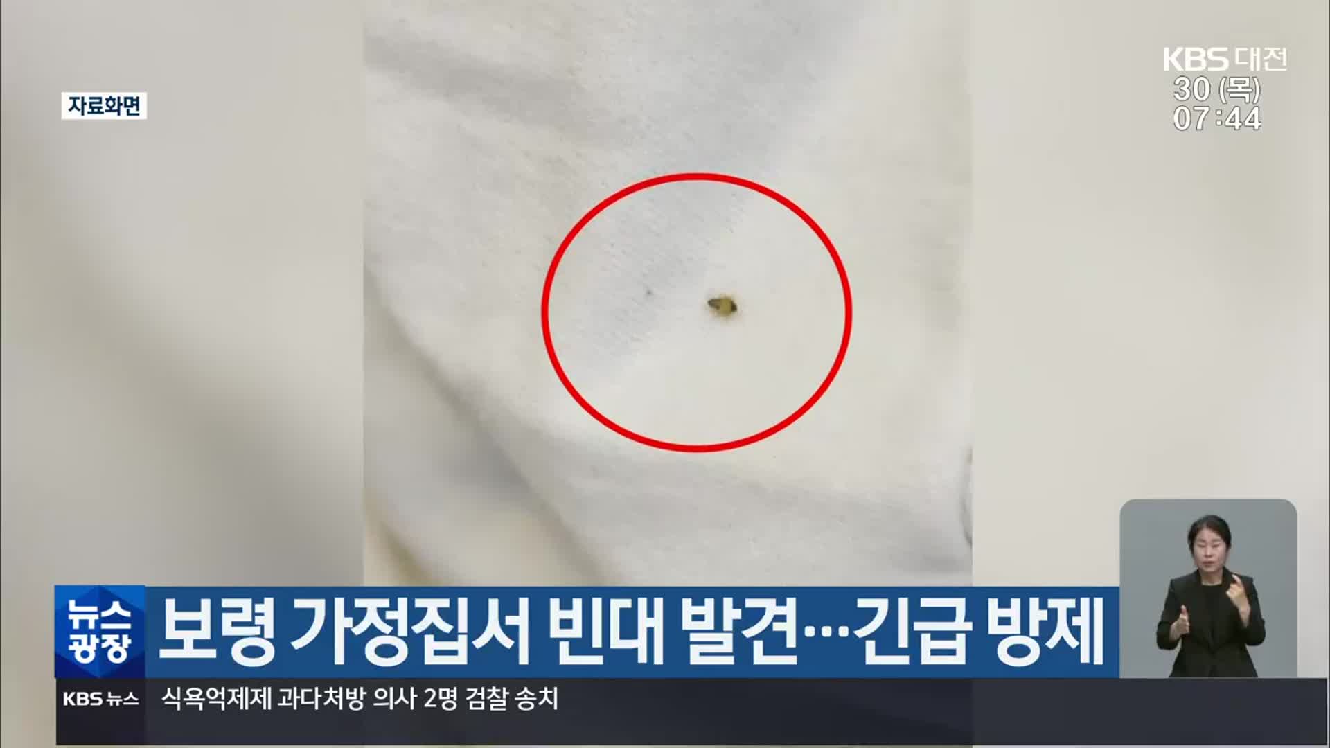 보령 가정집서 빈대 발견…긴급 방제