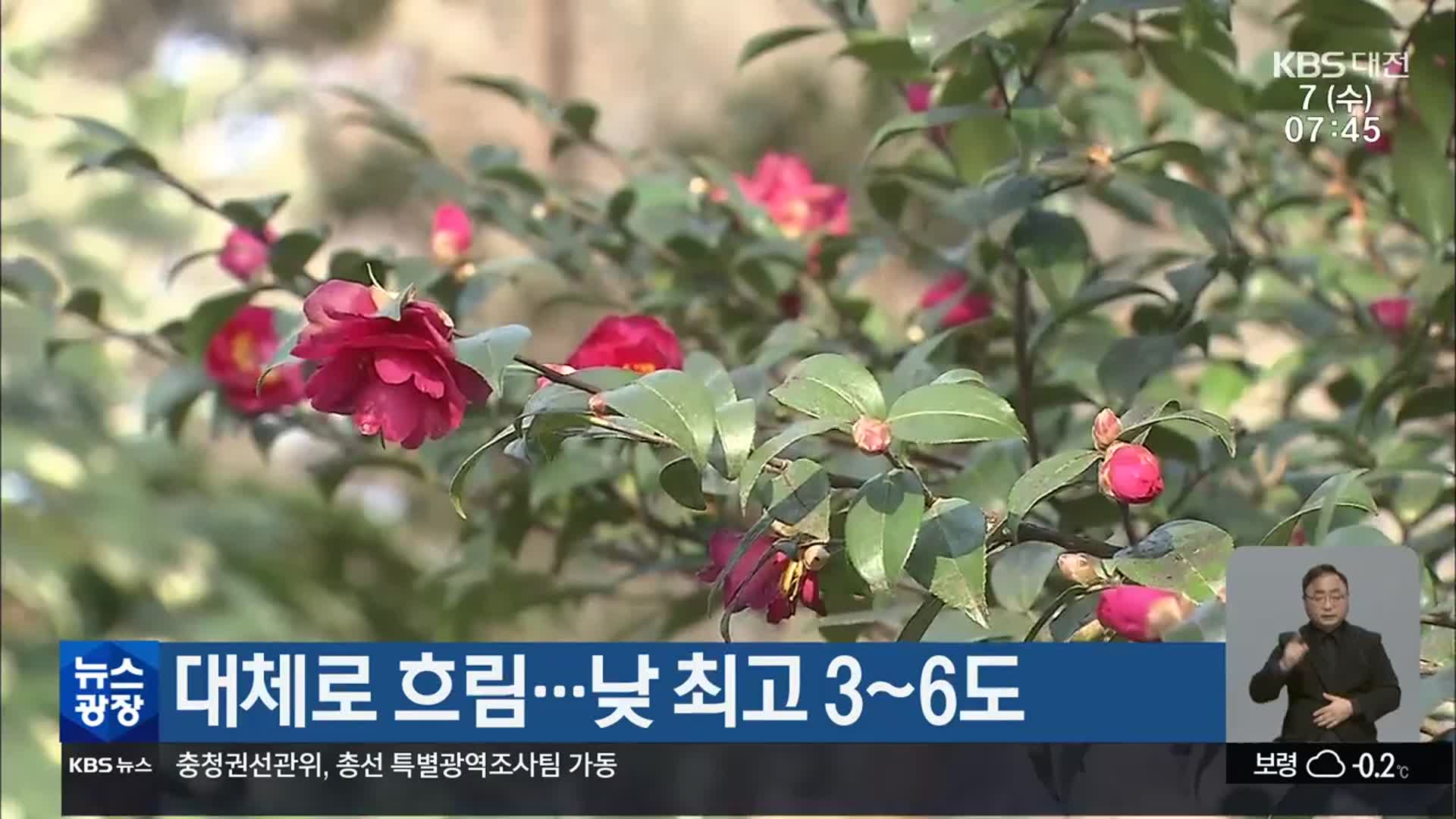 대전·세종·충남 대체로 흐림…낮 최고 3~6도