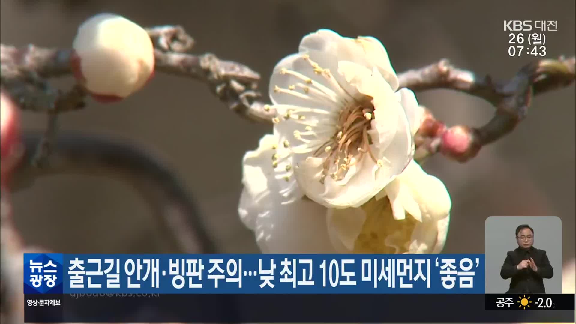 대전·세종·충남 출근길 안개·빙판 주의…낮 최고 10도 미세먼지 ‘좋음’