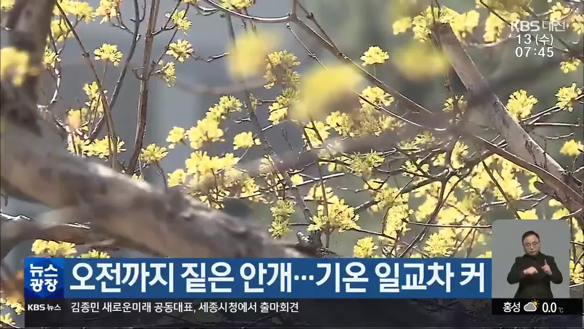 대전·세종·충남 오전까지 짙은 안개…기온 일교차 커