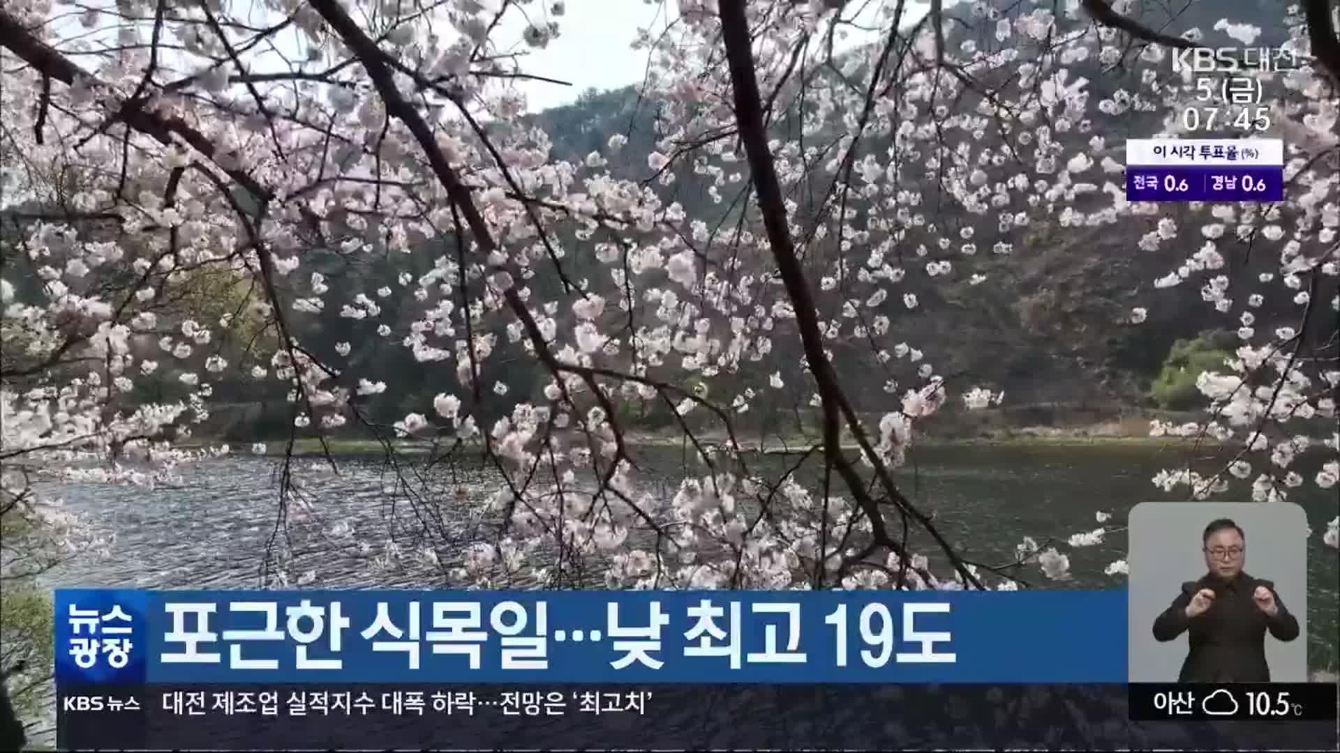 대전·세종·충남 포근한 식목일…낮 최고 19도