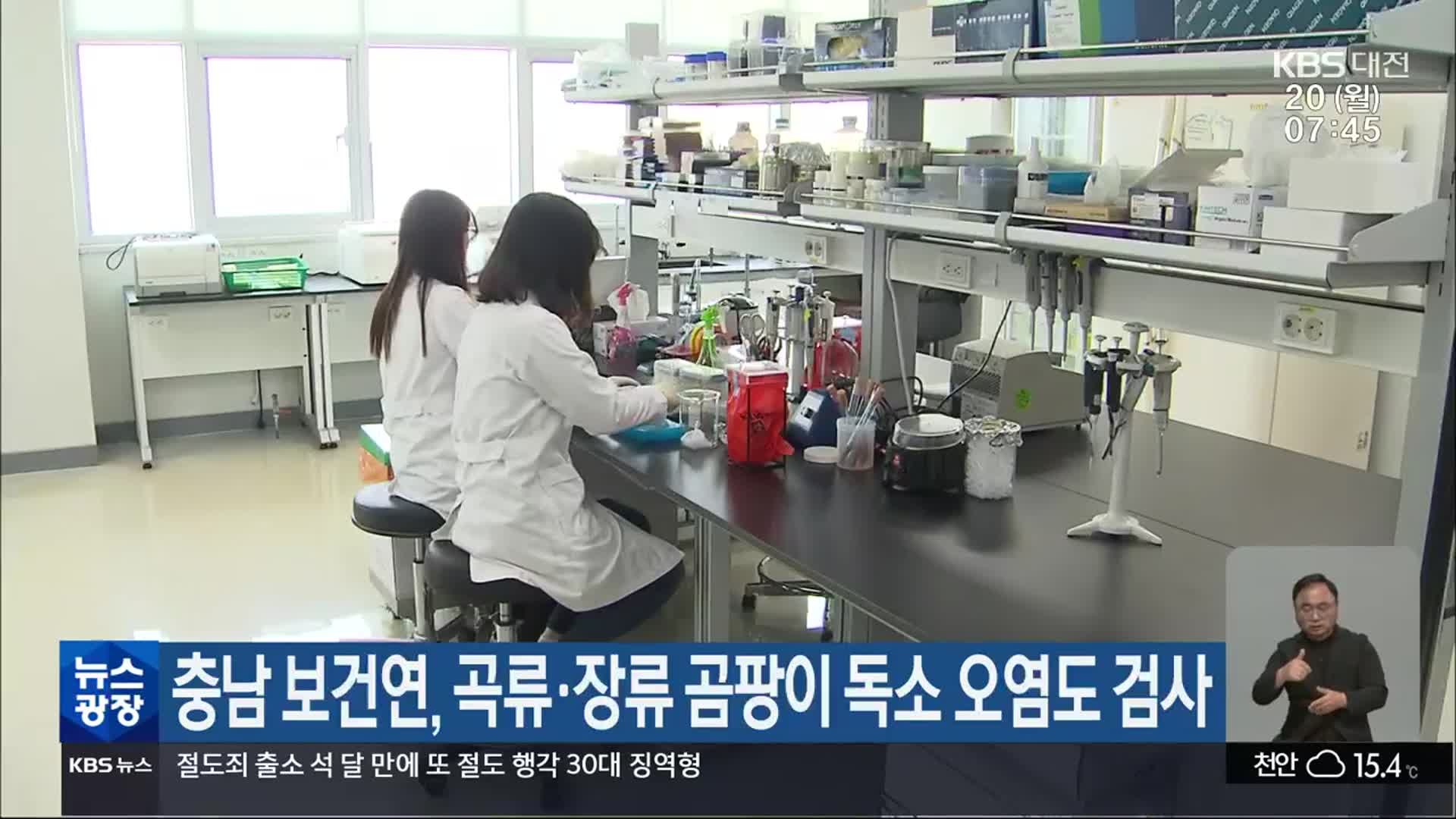 충남 보건연, 곡류·장류 곰팡이 독소 오염도 검사