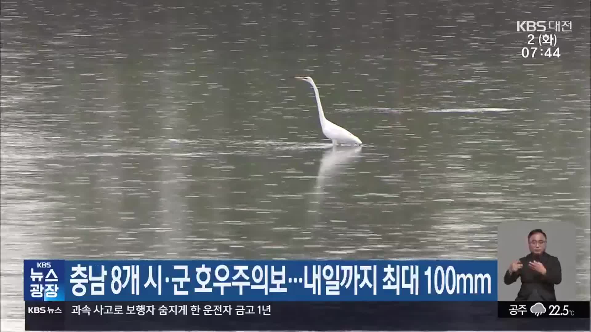 충남 8개 시·군 호우주의보…내일까지 최대 100mm