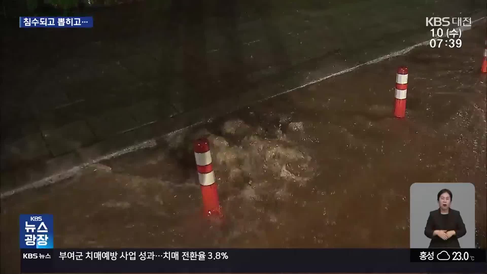 충남에 최고 100mm 물폭탄…곳곳 피해 잇따라