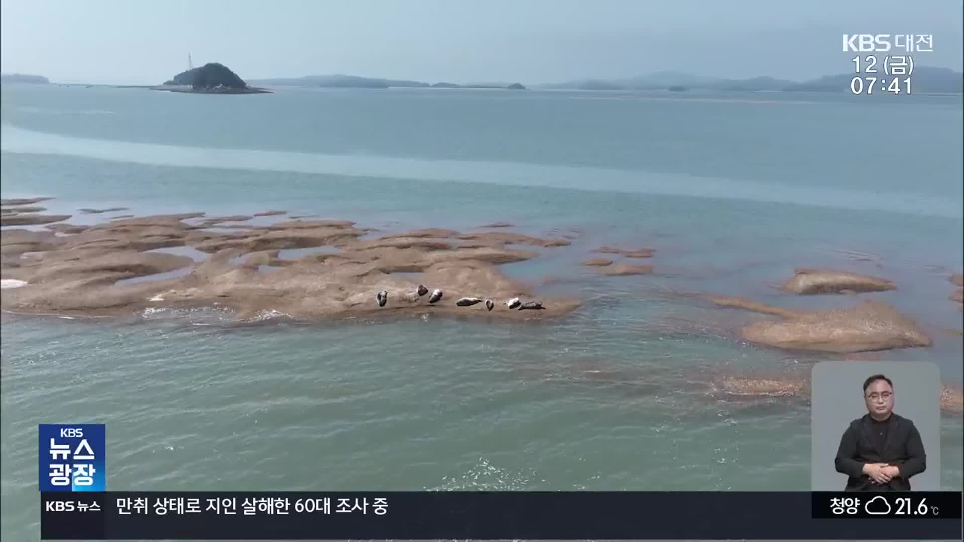 예타 불발에 ‘가로림만 해상 교량?’…가능성 논란