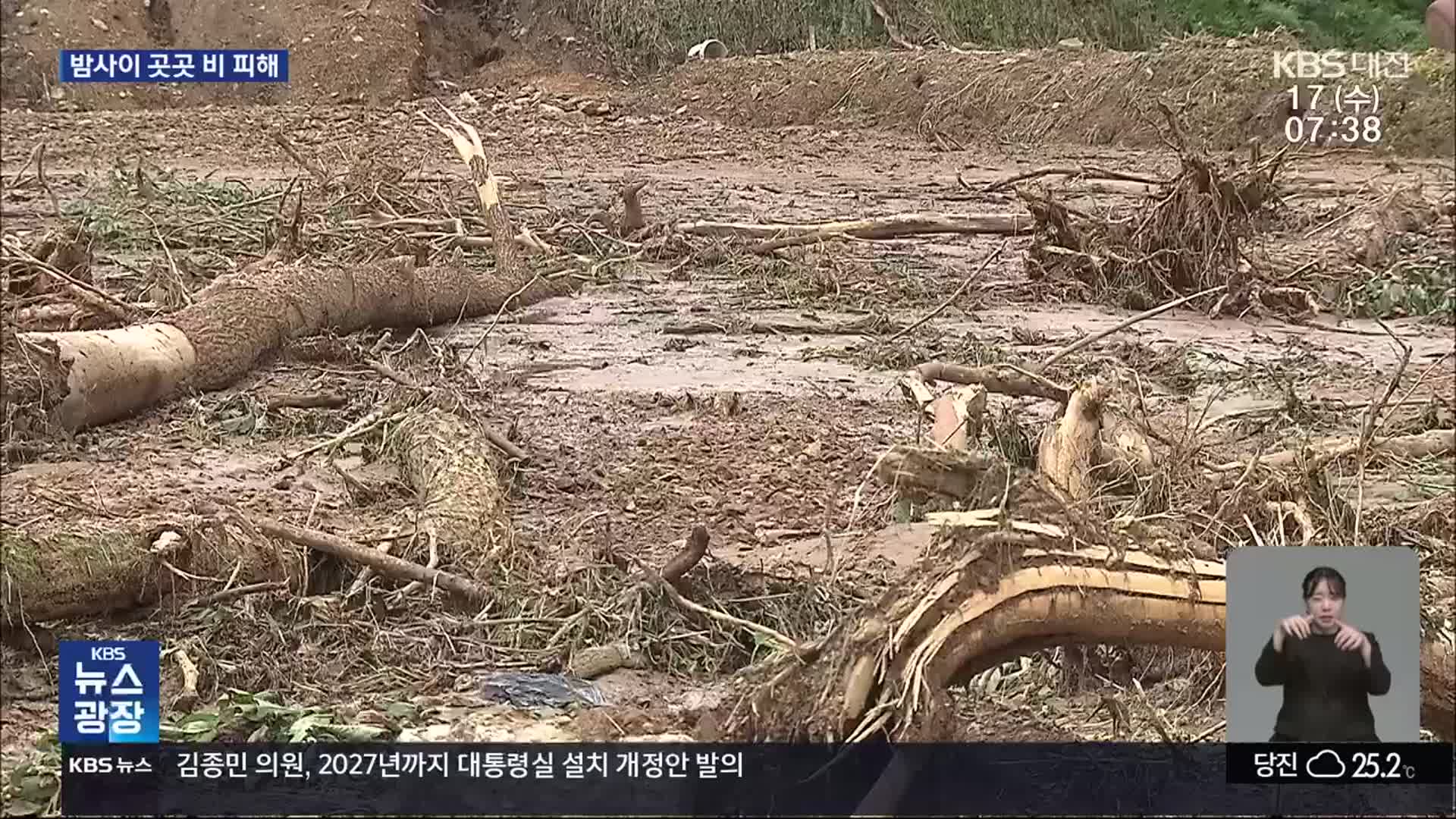 충청권 또 집중호우…도로 침수에 나무 쓰러지고 정전