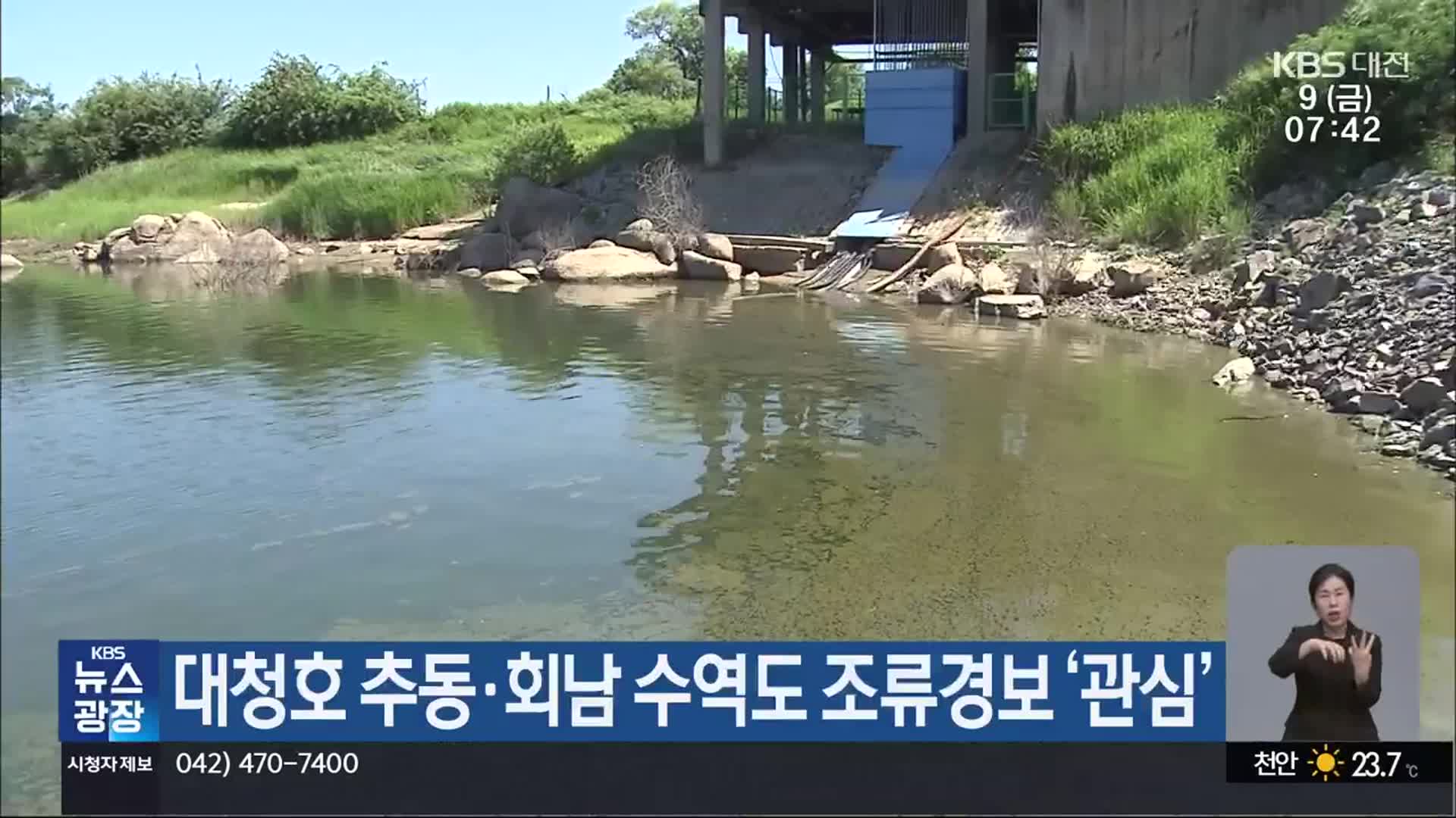 대청호 추동·회남 수역도 조류경보 ‘관심’