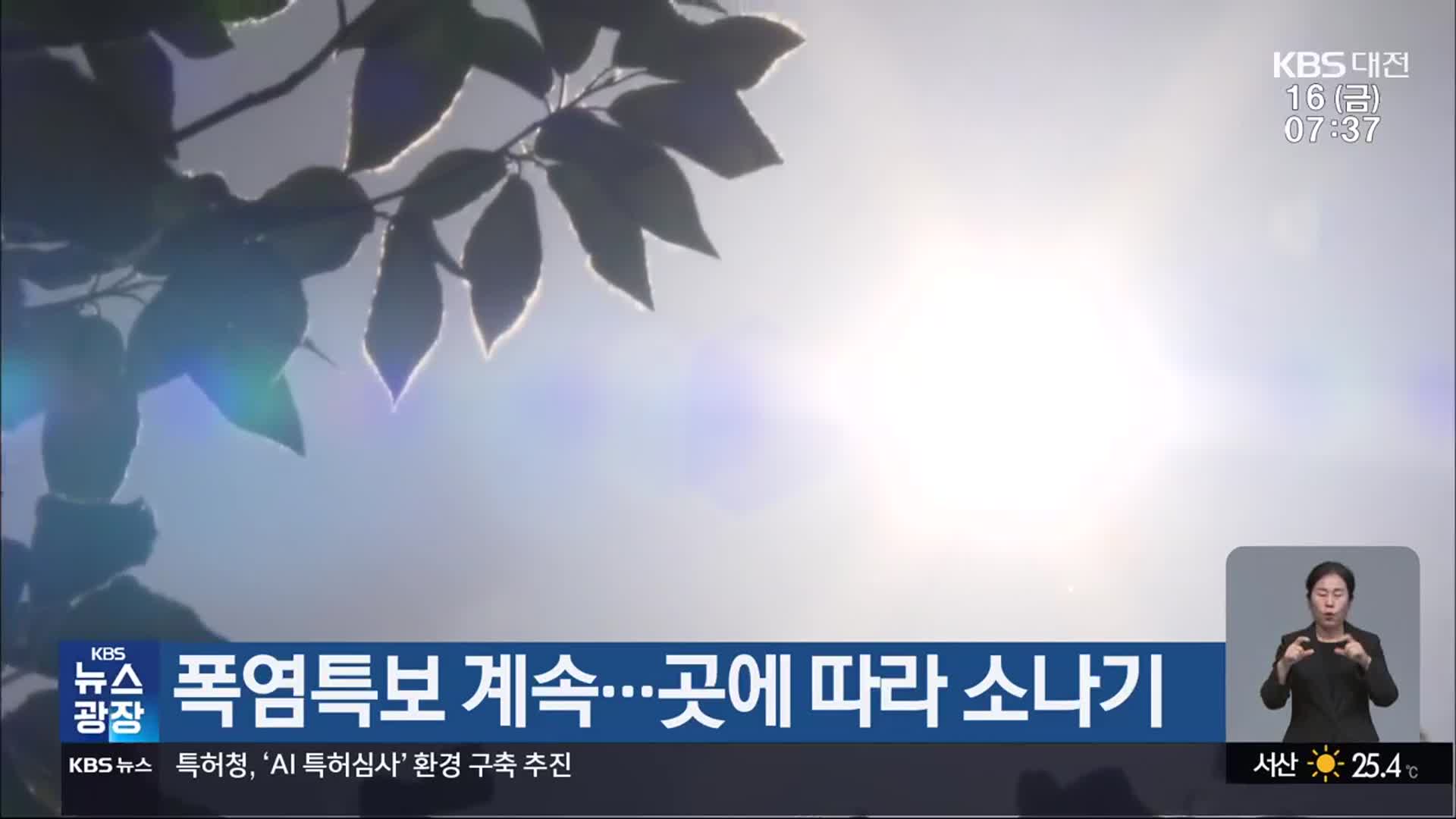 대전·세종·충남 폭염특보 계속…곳에 따라 소나기