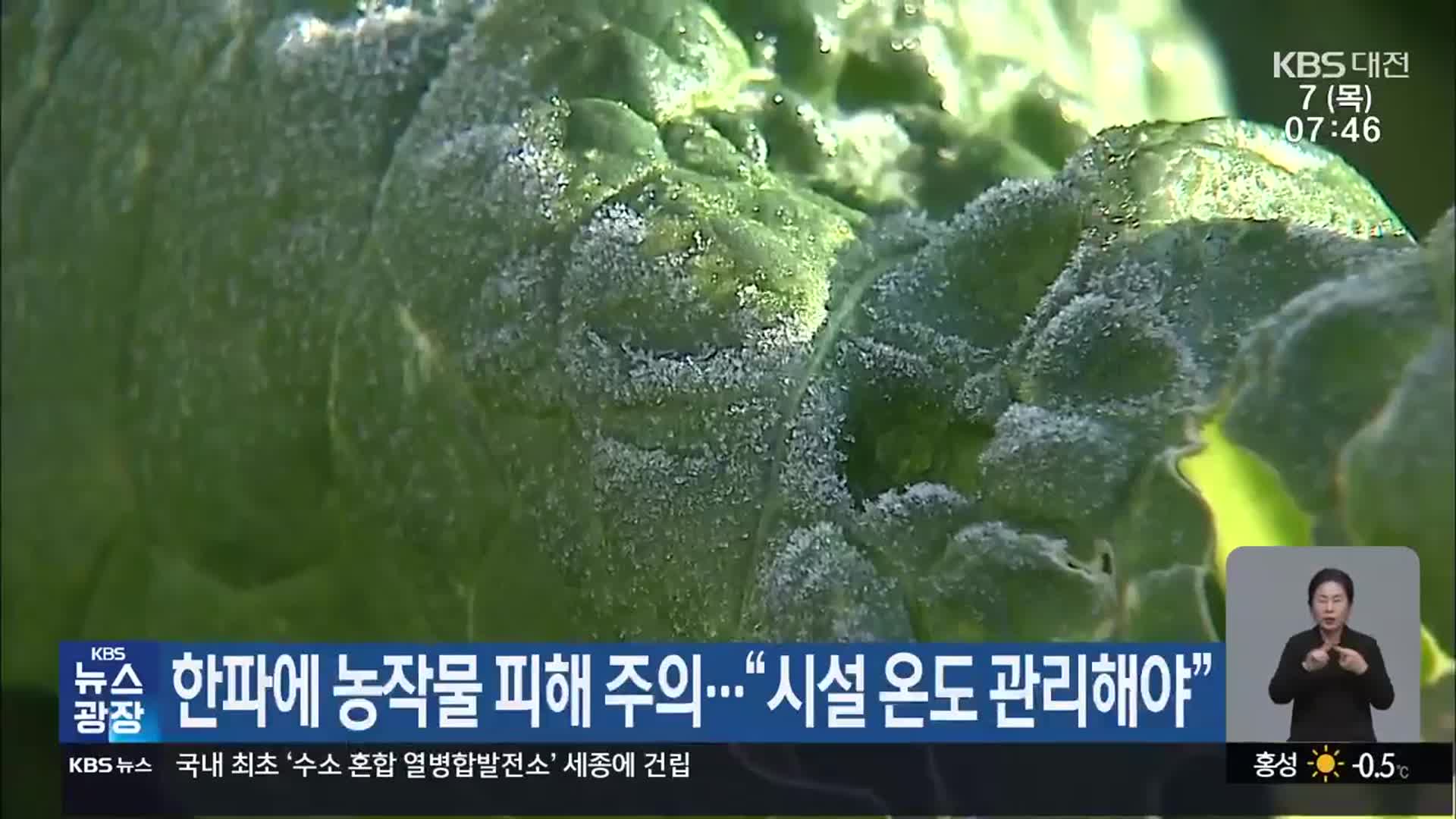 한파에 농작물 피해 주의…“시설 온도 관리해야”