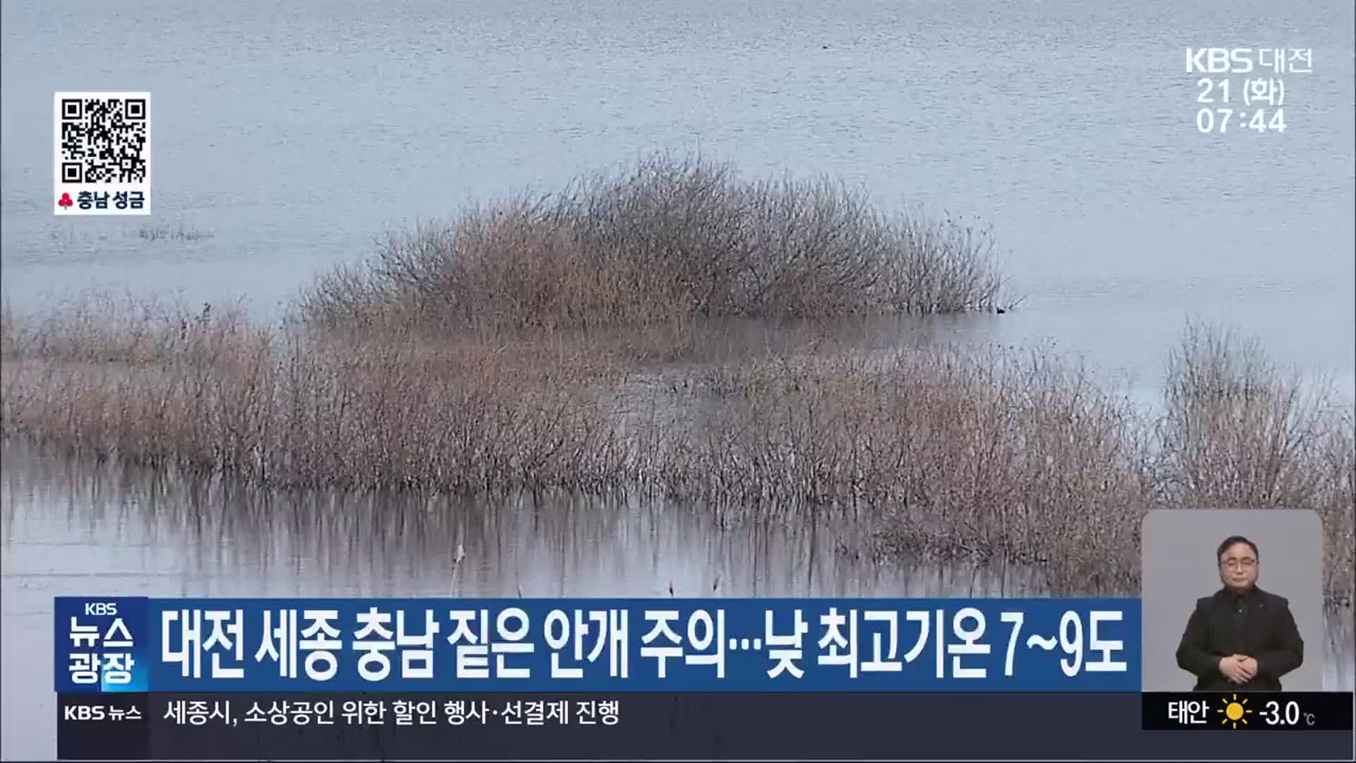 대전·세종·충남 짙은 안개 주의…낮 최고기온 7~9도
