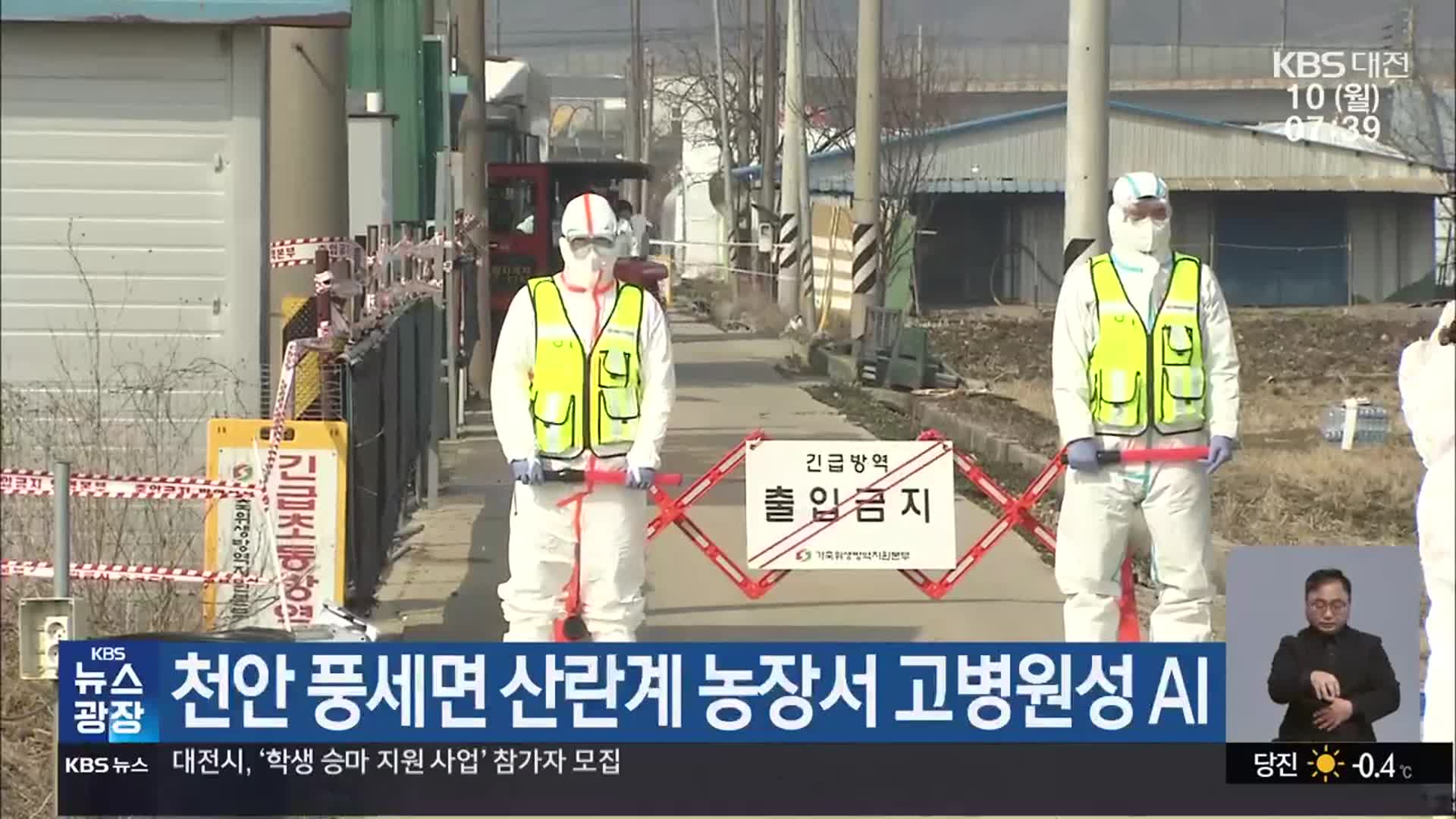 천안 풍세면 산란계 농장서 고병원성 AI