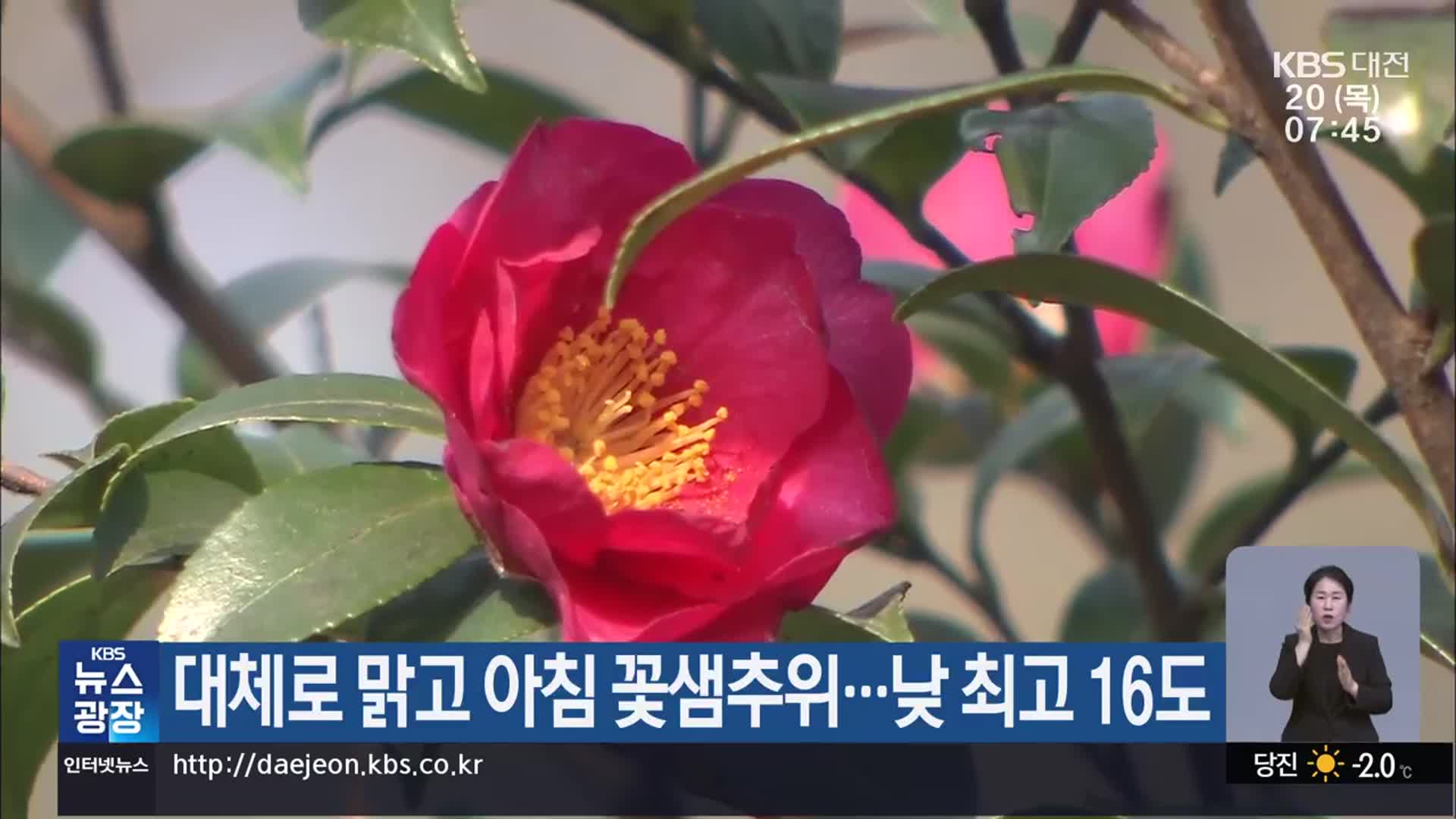대전·세종·충남 대체로 맑고 아침 꽃샘추위…낮 최고 16도