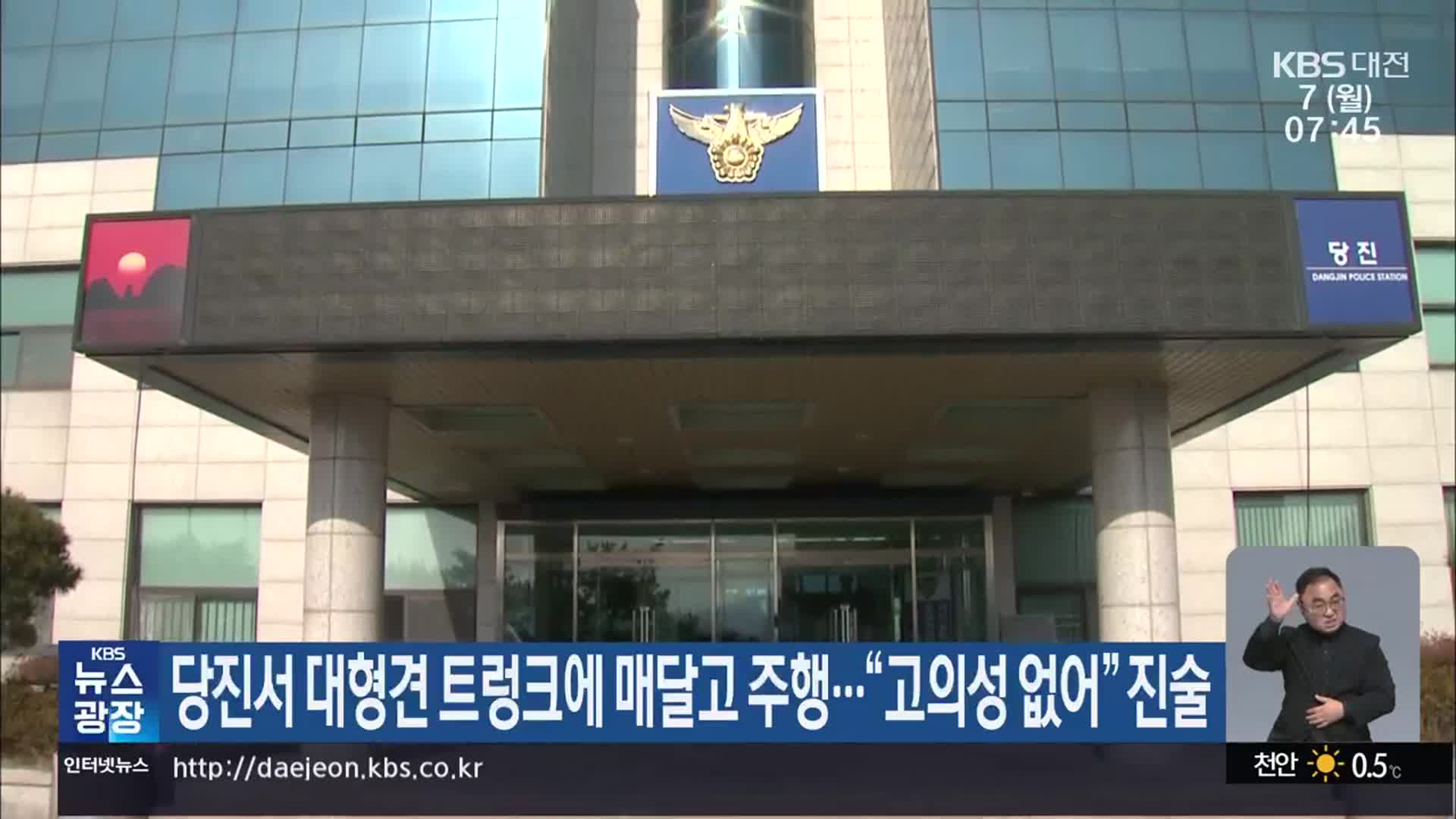 당진서 대형견 트렁크에 매달고 주행…“고의성 없어” 진술