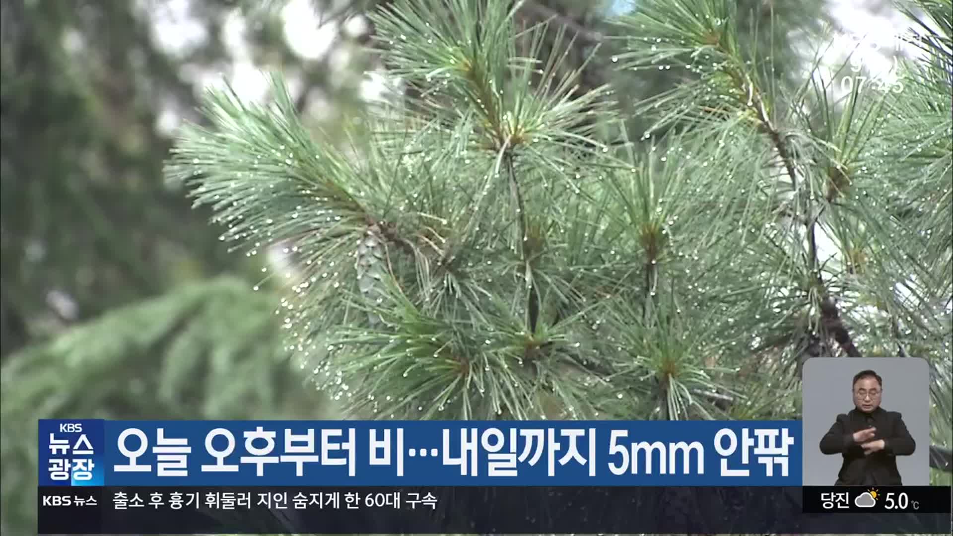 대전·세종·충남 오늘 오후부터 비…내일까지 5mm 안팎