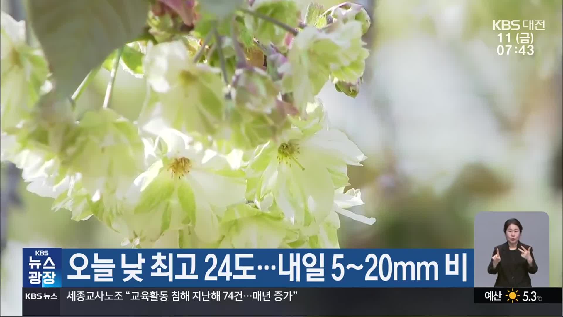대전·세종·충남 오늘 낮 최고 24도…내일 5~20mm 비