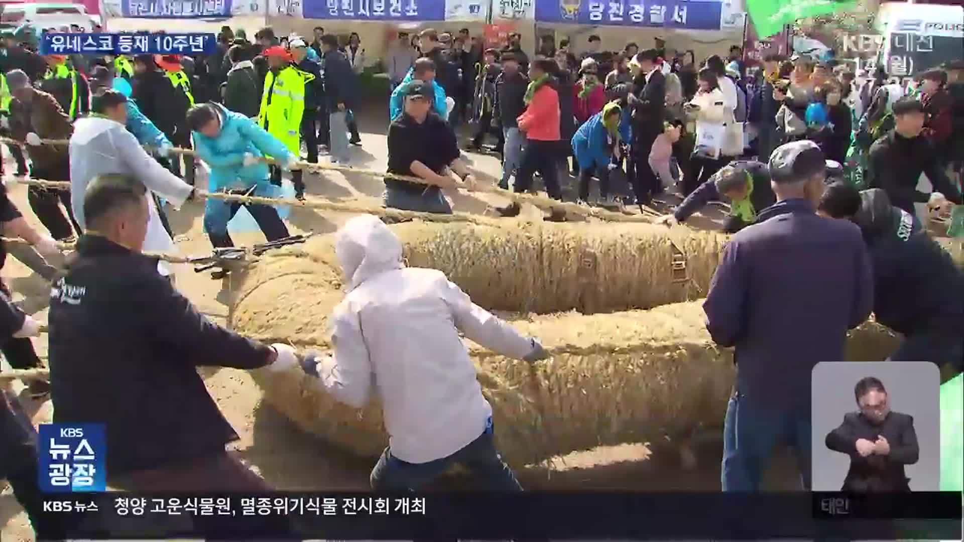 ‘5백 년 전통’ 기지시 줄다리기…“나라 평안·풍년 기원”