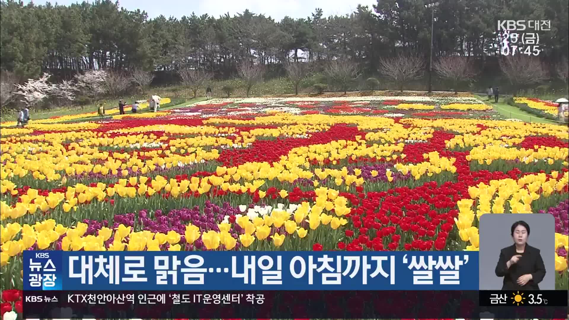 대전·세종·충남 대체로 맑음…내일 아침까지 ‘쌀쌀’