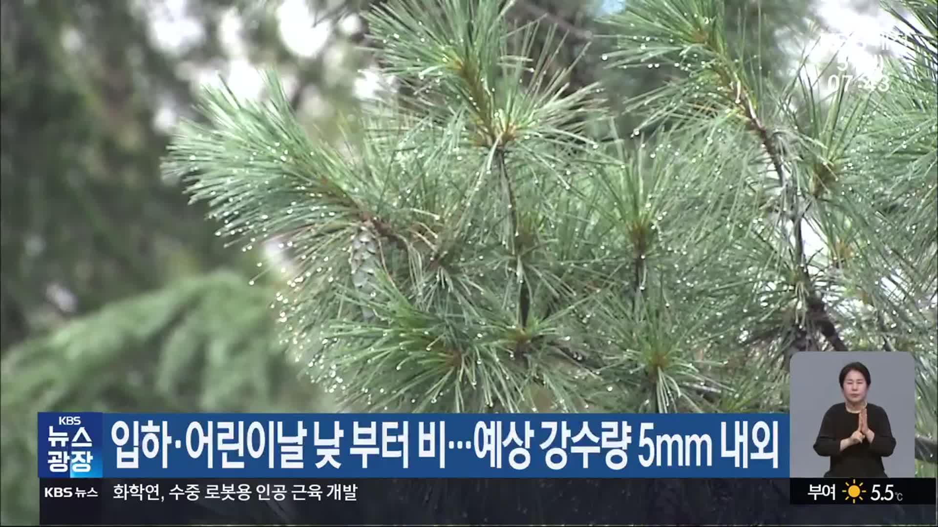 입하·어린이날, 대전·세종·충남 낮 부터 비…예상 강수량 5mm 내외