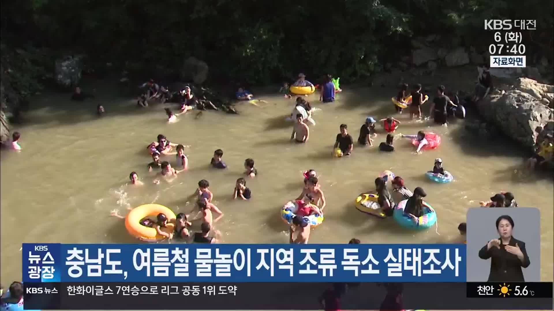 충남도, 여름철 물놀이 지역 조류 독소 실태조사