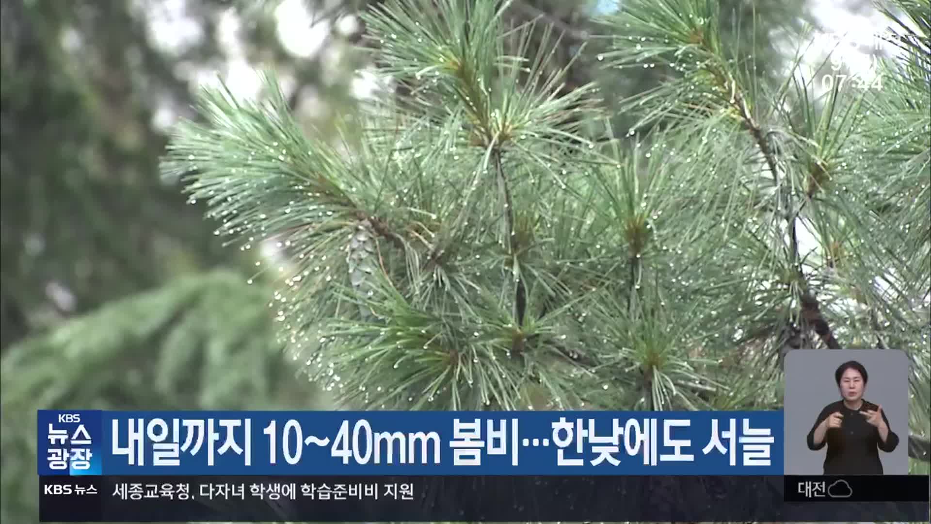 대전·세종·충남 내일까지 10~40mm 봄비…한낮에도 서늘