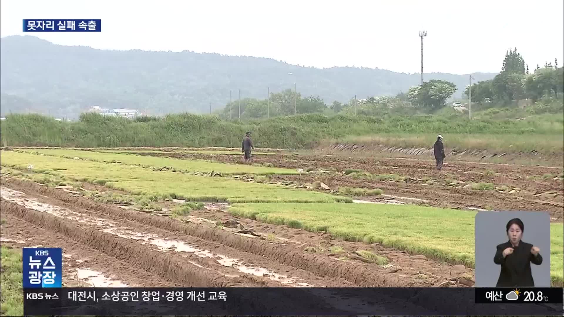 이상 기후에 못자리 실패 속출…“농사 망치면 어쩌나”