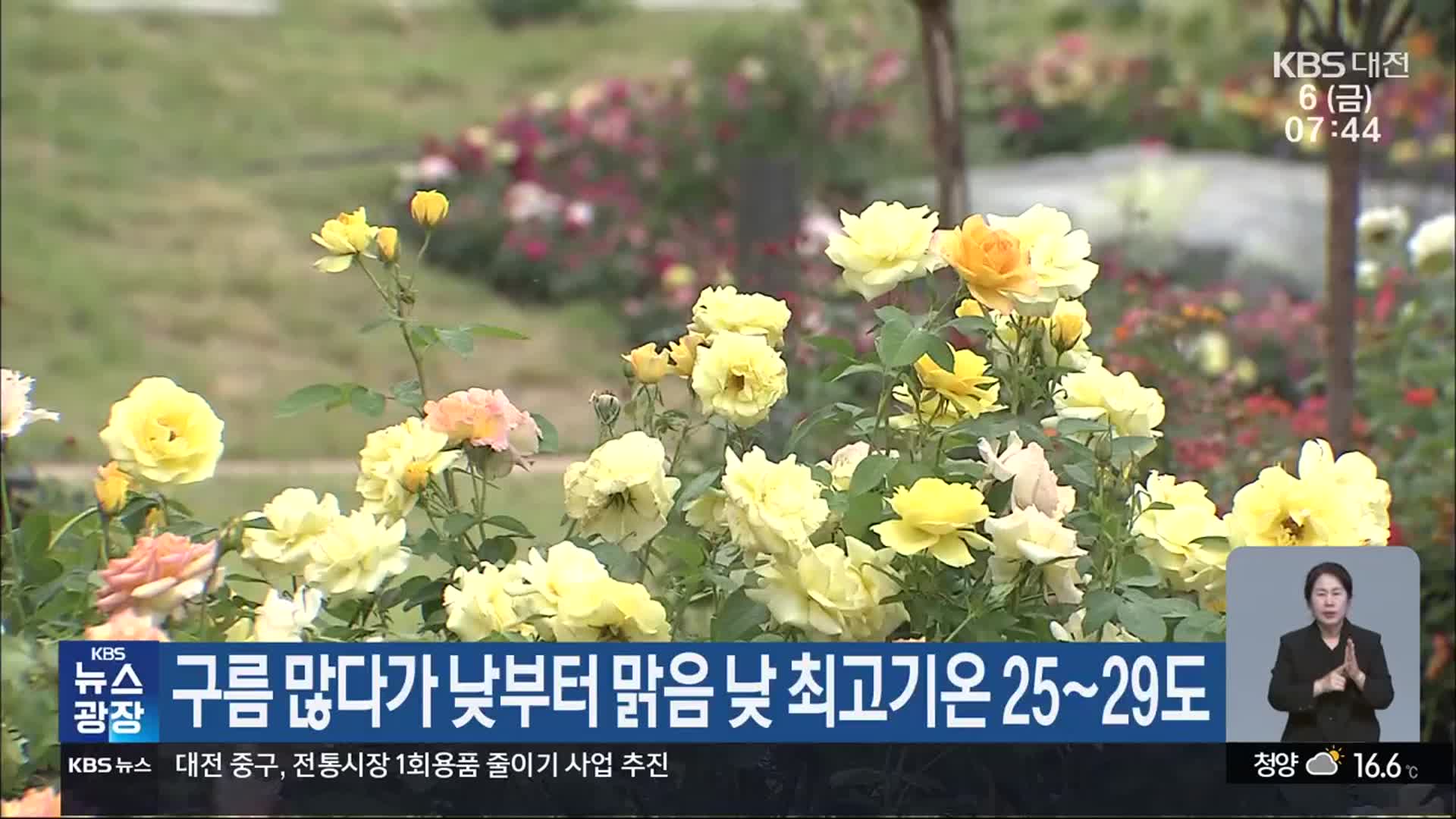 대전·세종·충남 구름 많다가 낮부터 맑음 낮 최고 25~29도