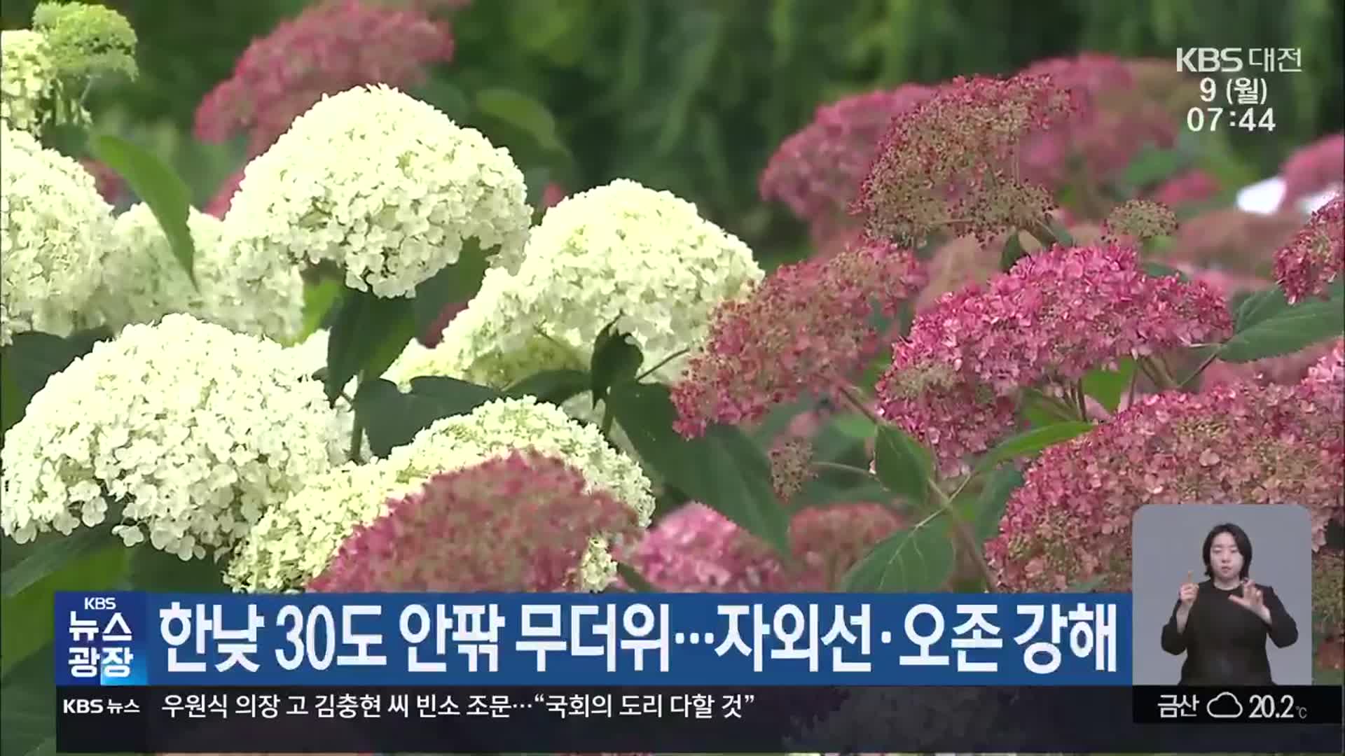 대전·세종·충남 한낮 30도 안팎 무더위…자외선·오존 강해