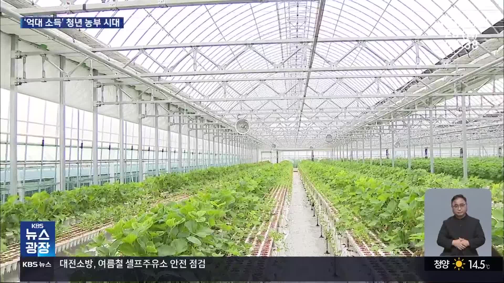 [뉴스광장 대전·세종·충남 풀영상]