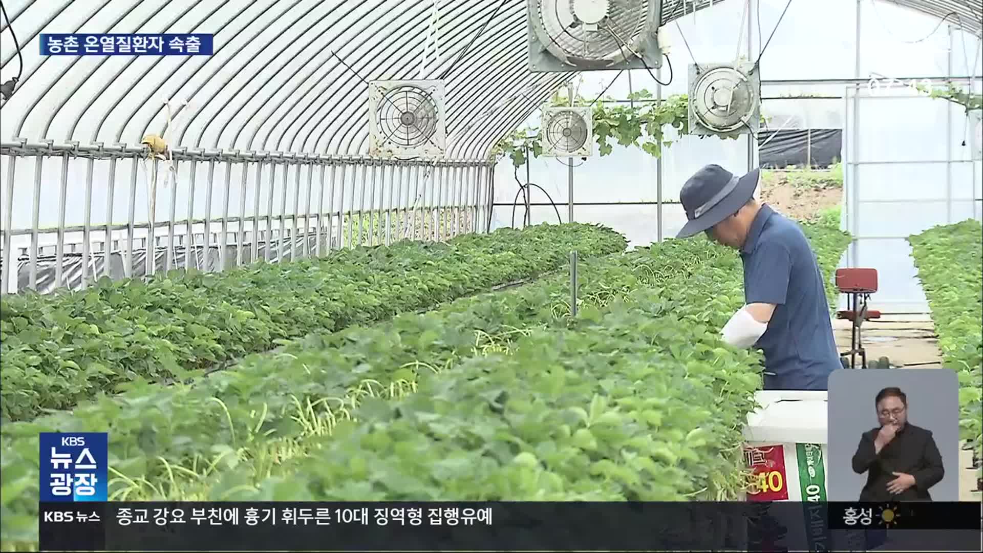 폭염에도 농사일…농촌 온열질환자 속출